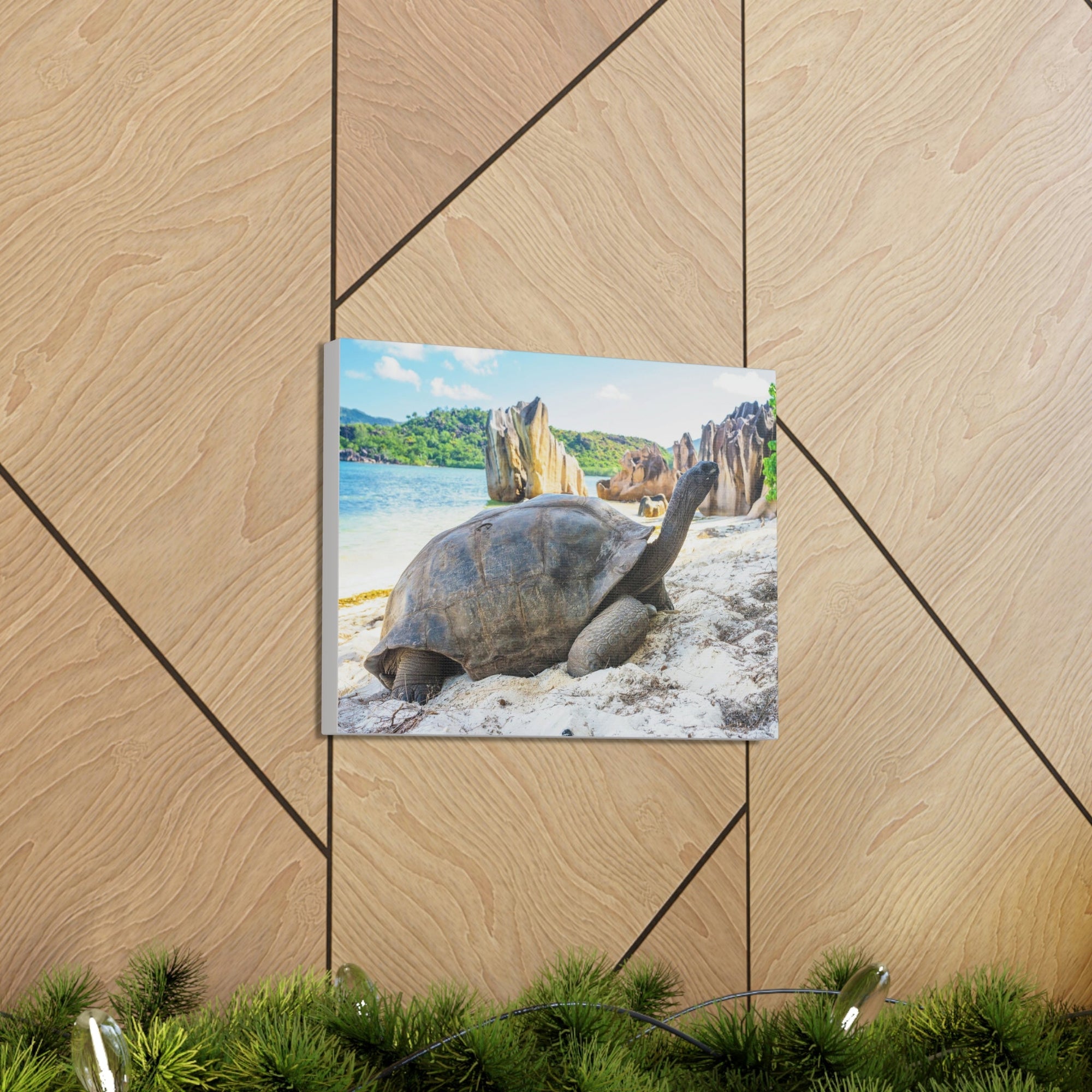 Scripture Walls Majestic Tortoise Art Majestic Tortoise Print Animal Wall Art Wildlife Canvas Prints Wall Art Ready to Hang Unframed-Express Your Love Gifts