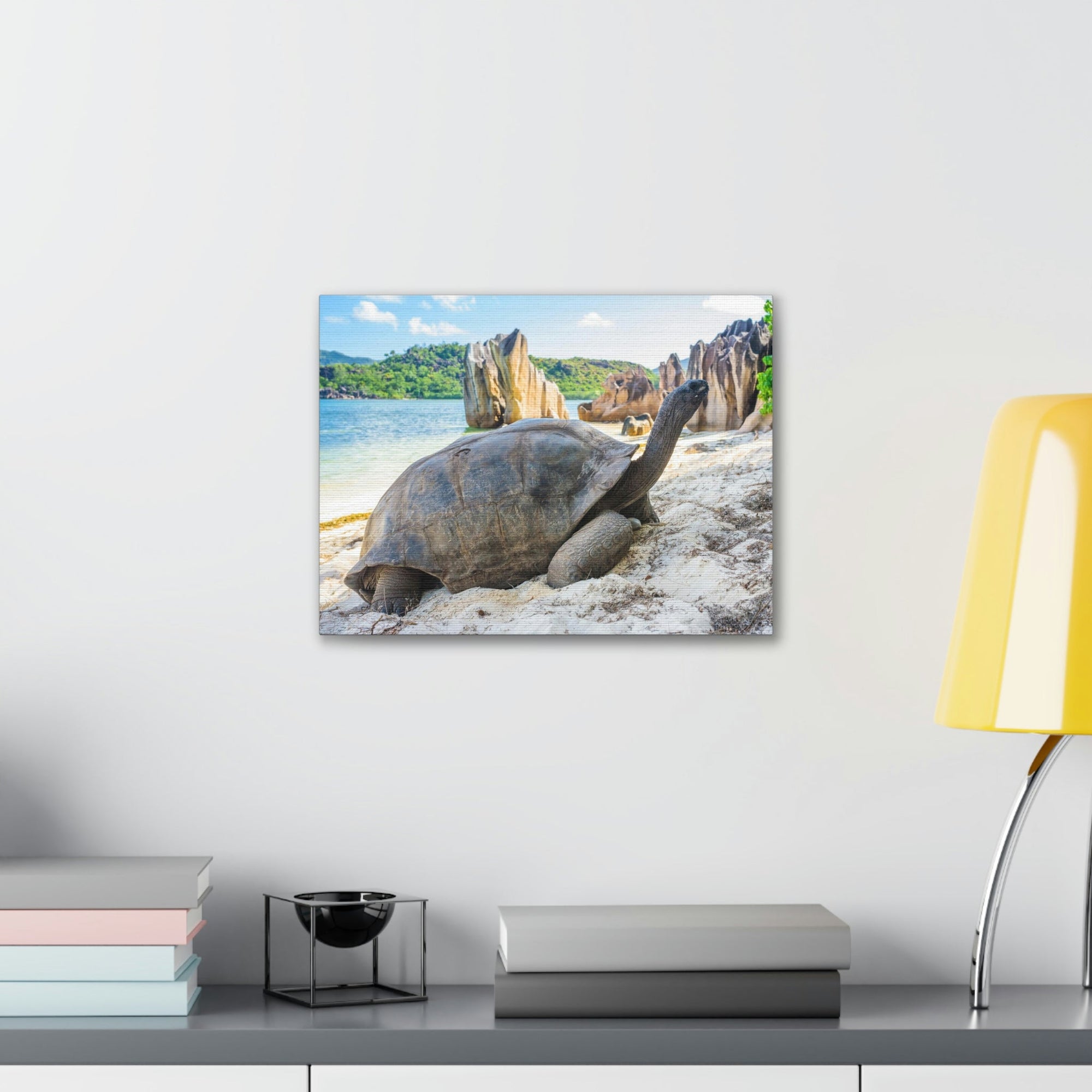 Scripture Walls Majestic Tortoise Art Majestic Tortoise Print Animal Wall Art Wildlife Canvas Prints Wall Art Ready to Hang Unframed-Express Your Love Gifts