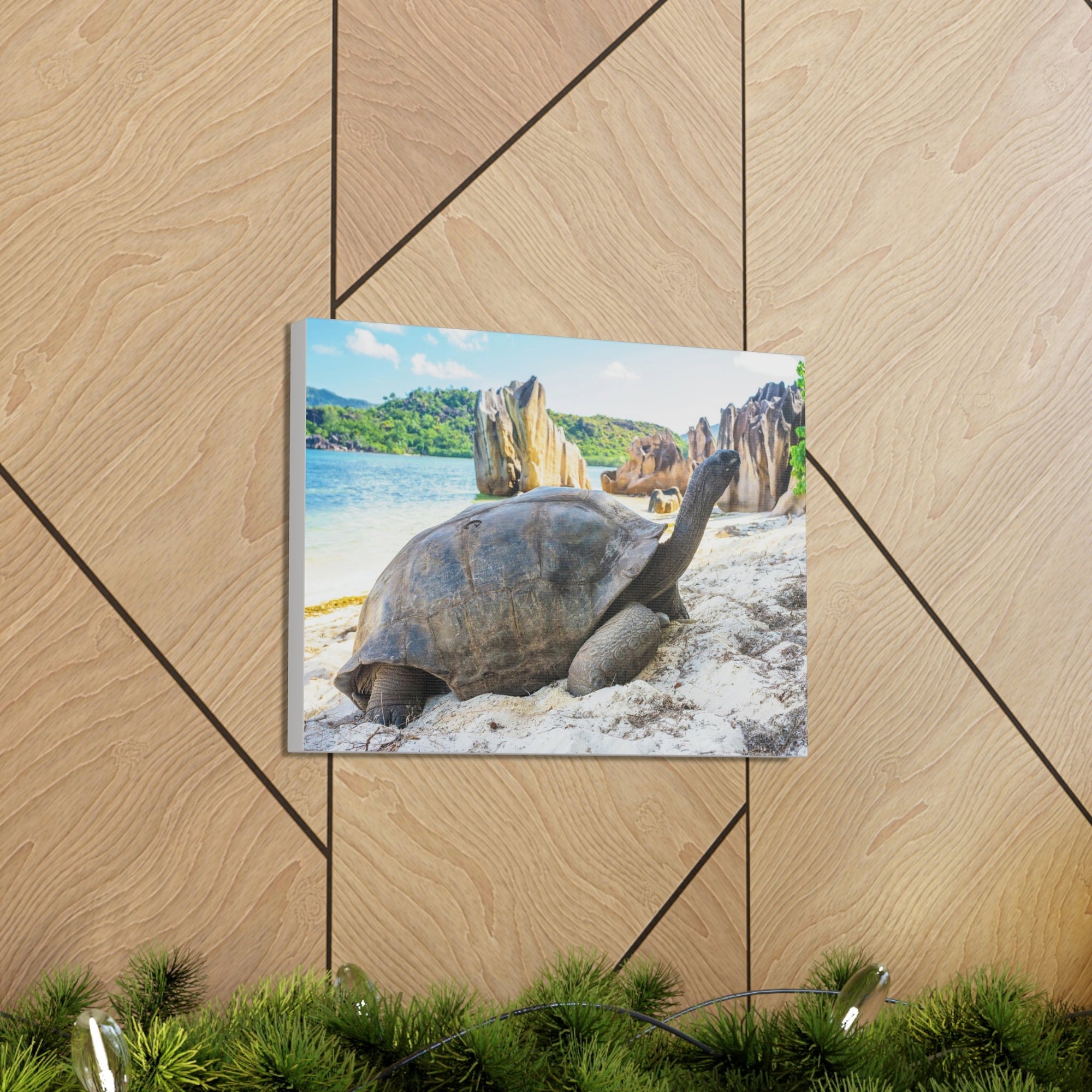 Scripture Walls Majestic Tortoise Art Majestic Tortoise Print Animal Wall Art Wildlife Canvas Prints Wall Art Ready to Hang Unframed-Express Your Love Gifts