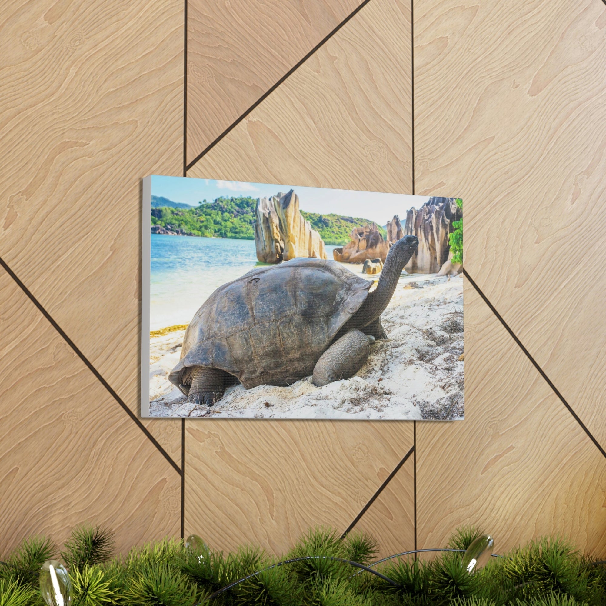 Scripture Walls Majestic Tortoise Art Majestic Tortoise Print Animal Wall Art Wildlife Canvas Prints Wall Art Ready to Hang Unframed-Express Your Love Gifts