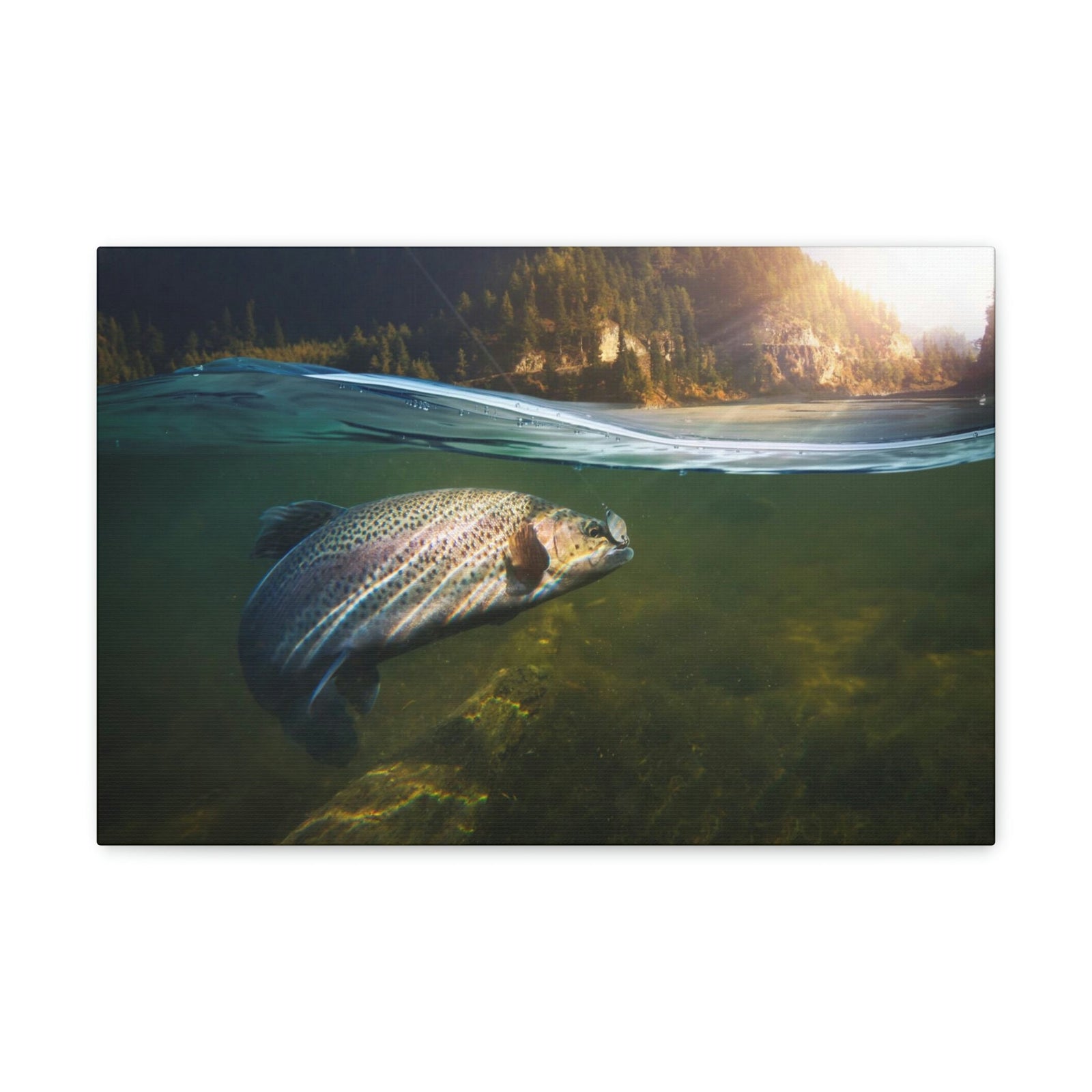 Scripture Walls Majestic Trout Art Majestic Trout Print Animal Wall Art Wildlife Canvas Prints Wall Art Ready to Hang Unframed-Express Your Love Gifts