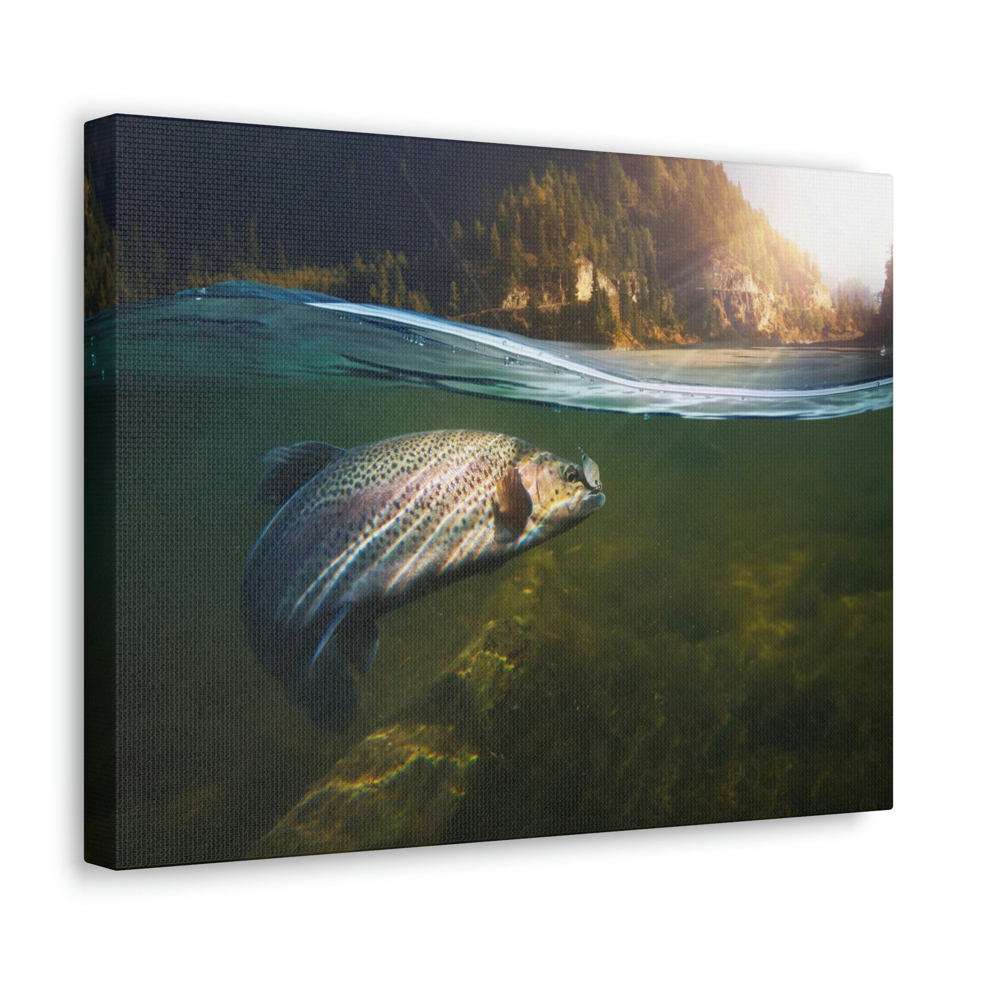 Scripture Walls Majestic Trout Art Majestic Trout Print Animal Wall Art Wildlife Canvas Prints Wall Art Ready to Hang Unframed-Express Your Love Gifts