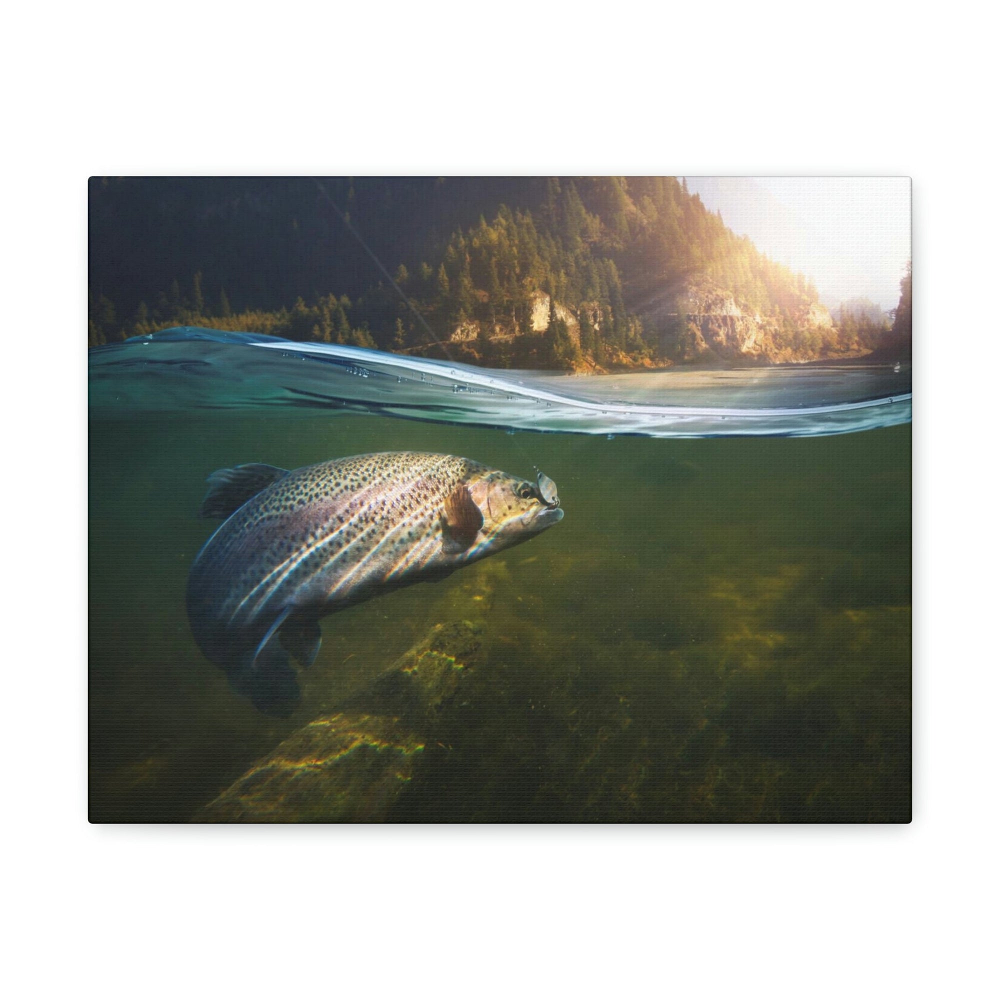 Scripture Walls Majestic Trout Art Majestic Trout Print Animal Wall Art Wildlife Canvas Prints Wall Art Ready to Hang Unframed-Express Your Love Gifts