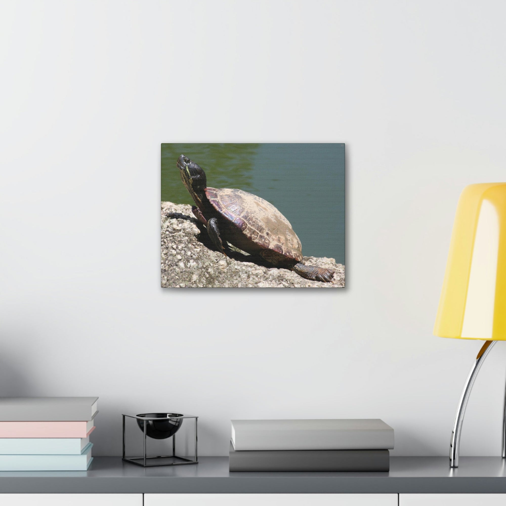 Scripture Walls Majestic Turtle Art Majestic Turtle Print Animal Wall Art Wildlife Canvas Prints Wall Art Ready to Hang Unframed-Express Your Love Gifts