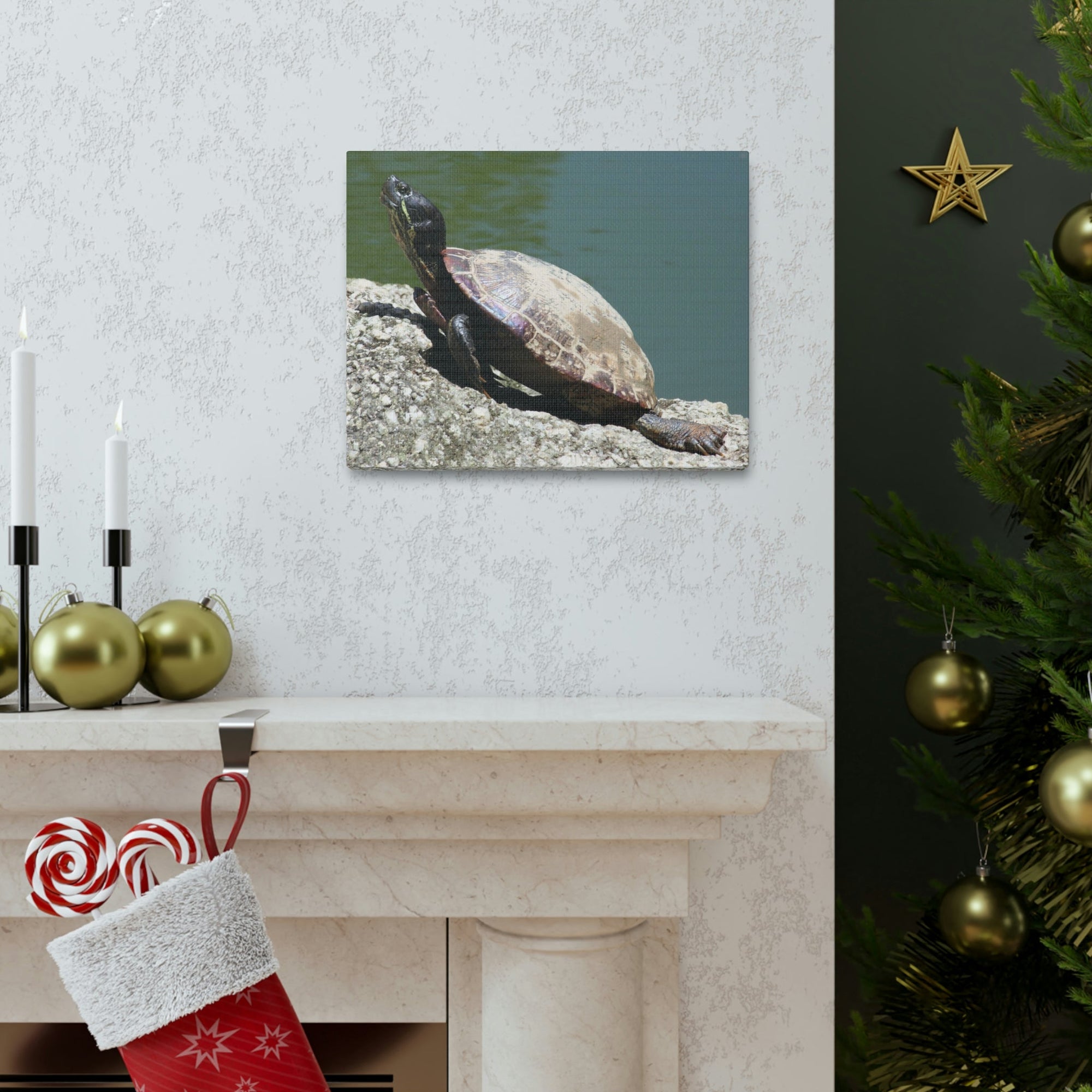 Scripture Walls Majestic Turtle Art Majestic Turtle Print Animal Wall Art Wildlife Canvas Prints Wall Art Ready to Hang Unframed-Express Your Love Gifts