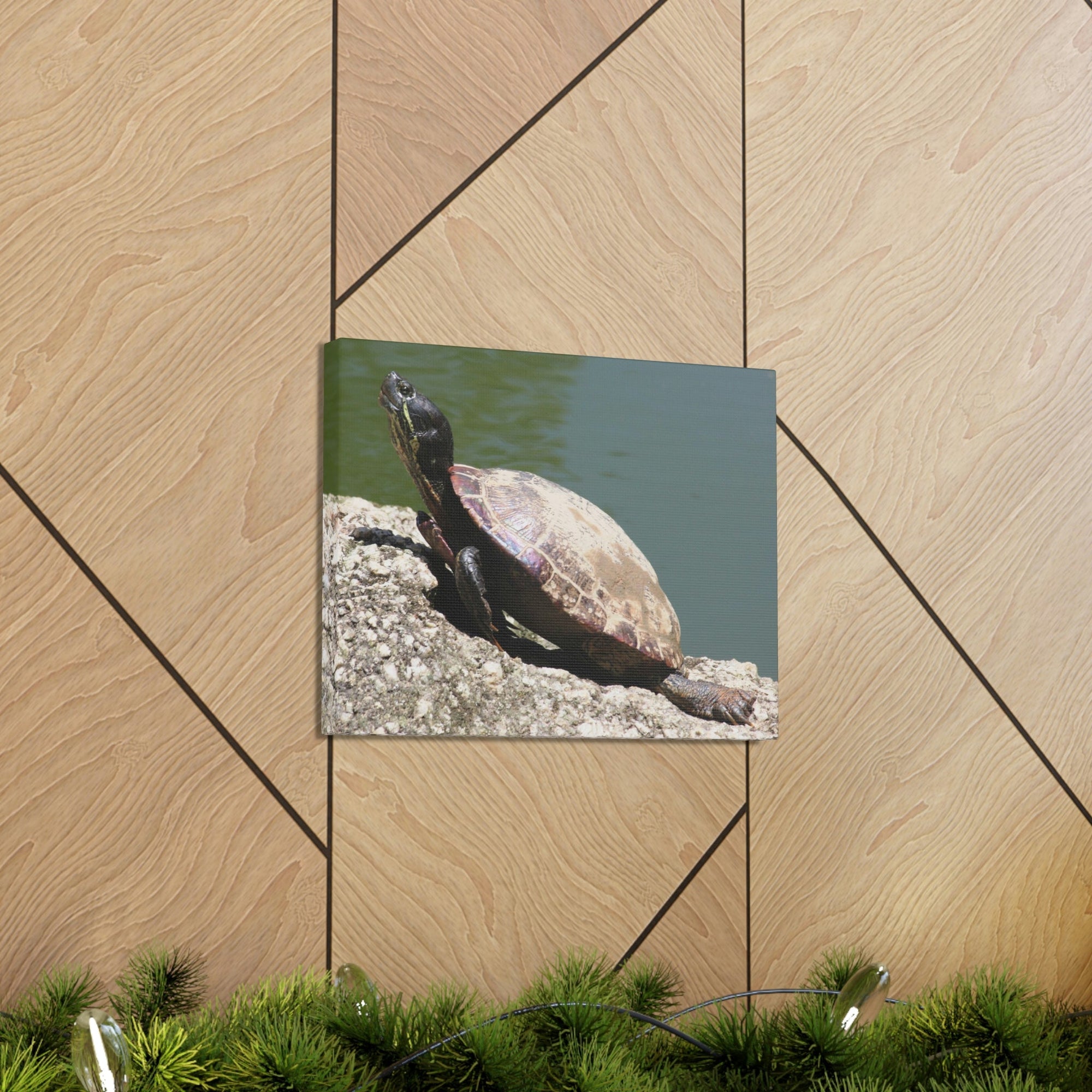 Scripture Walls Majestic Turtle Art Majestic Turtle Print Animal Wall Art Wildlife Canvas Prints Wall Art Ready to Hang Unframed-Express Your Love Gifts