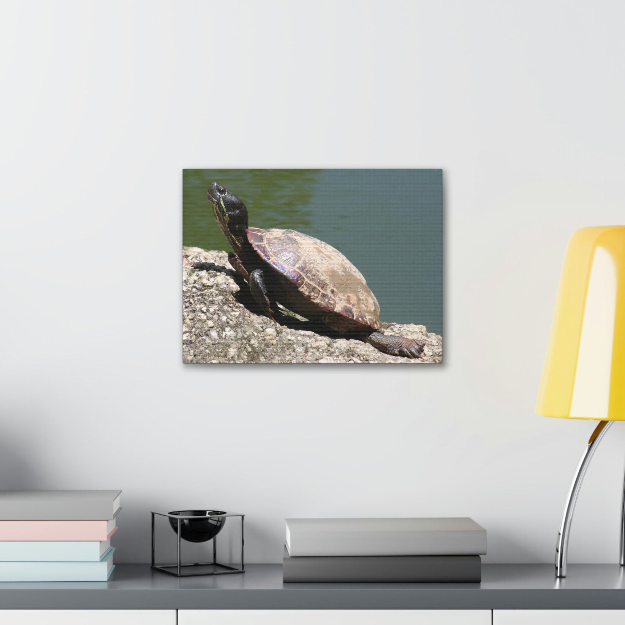 Scripture Walls Majestic Turtle Art Majestic Turtle Print Animal Wall Art Wildlife Canvas Prints Wall Art Ready to Hang Unframed-Express Your Love Gifts