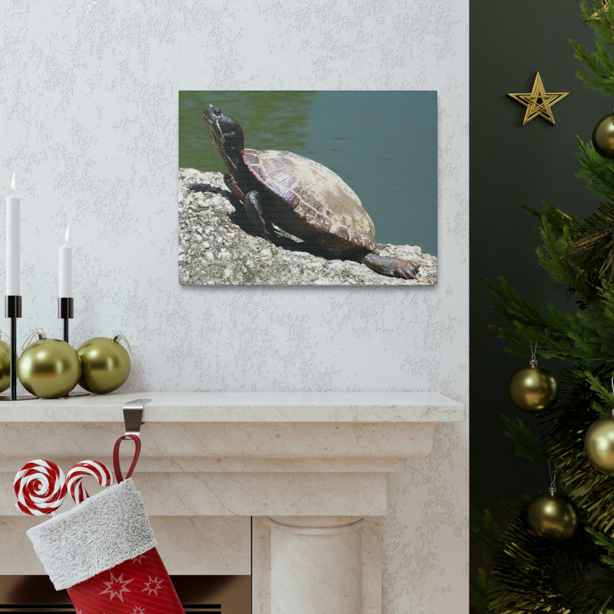 Scripture Walls Majestic Turtle Art Majestic Turtle Print Animal Wall Art Wildlife Canvas Prints Wall Art Ready to Hang Unframed-Express Your Love Gifts