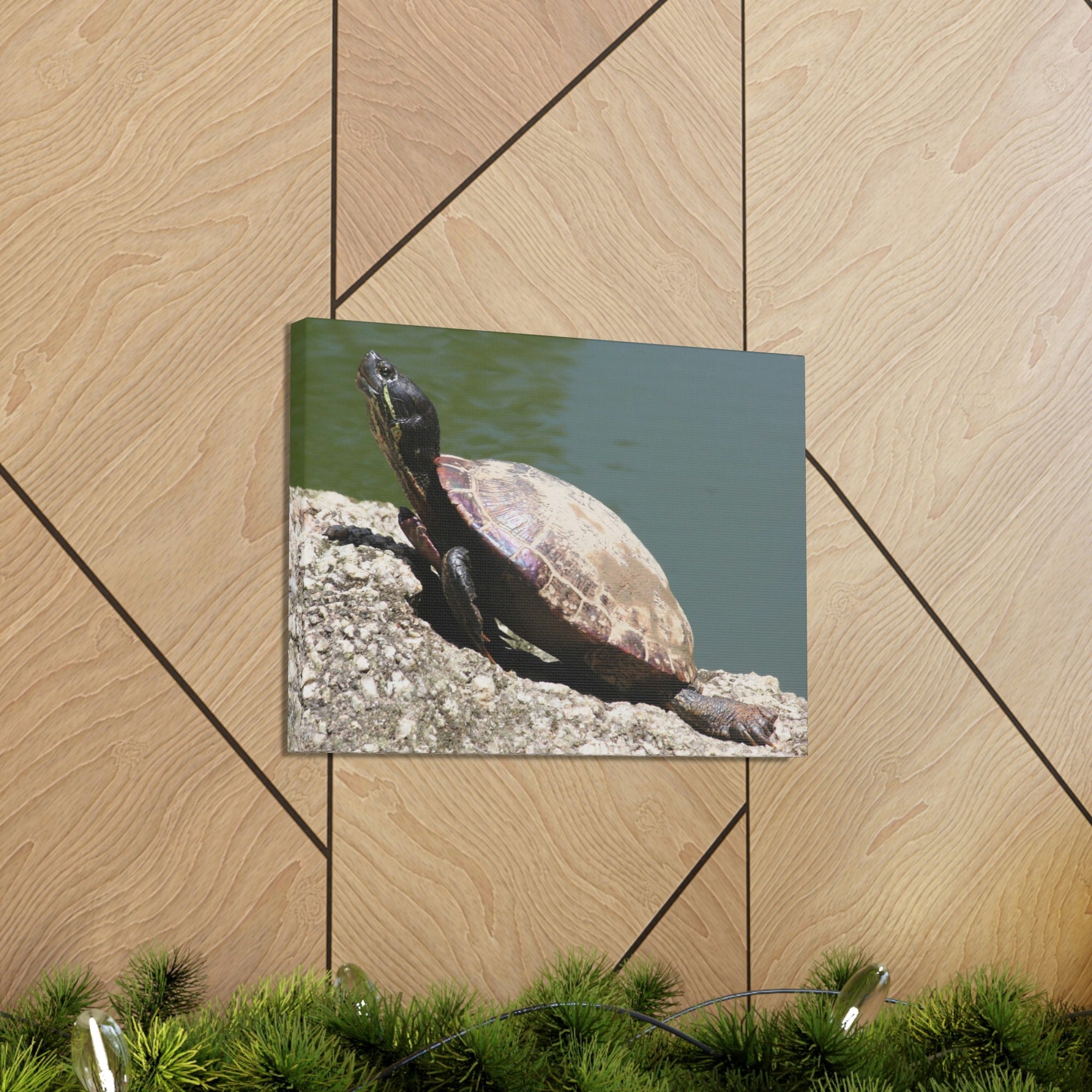 Scripture Walls Majestic Turtle Art Majestic Turtle Print Animal Wall Art Wildlife Canvas Prints Wall Art Ready to Hang Unframed-Express Your Love Gifts