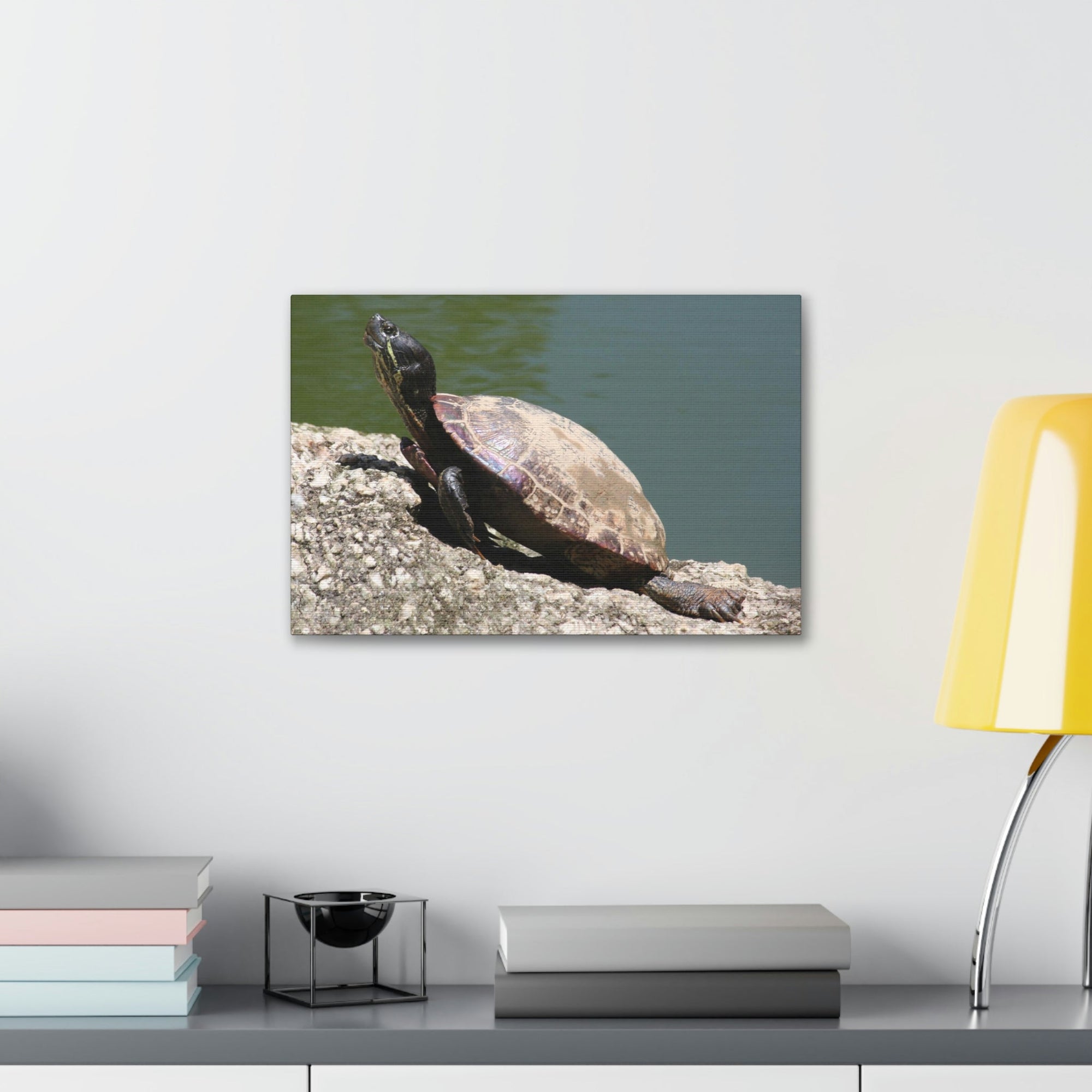 Scripture Walls Majestic Turtle Art Majestic Turtle Print Animal Wall Art Wildlife Canvas Prints Wall Art Ready to Hang Unframed-Express Your Love Gifts