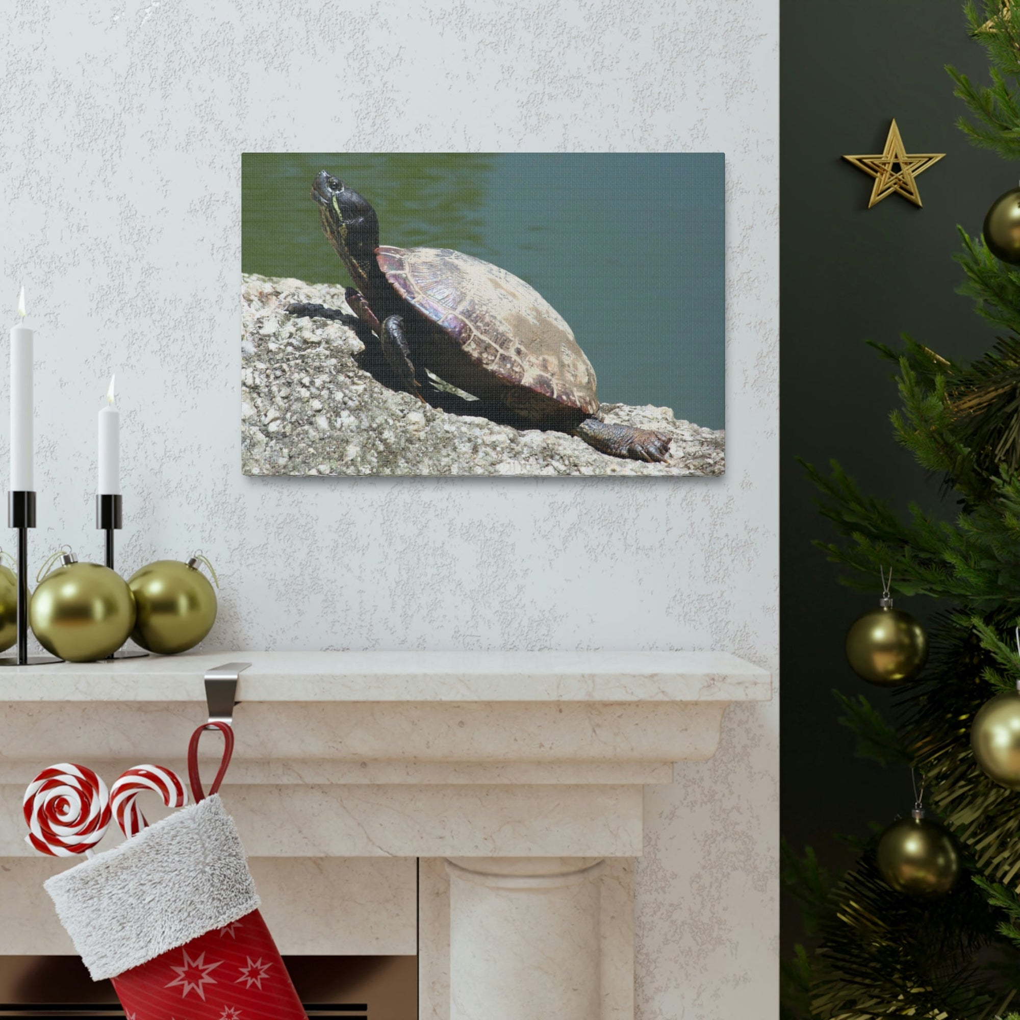 Scripture Walls Majestic Turtle Art Majestic Turtle Print Animal Wall Art Wildlife Canvas Prints Wall Art Ready to Hang Unframed-Express Your Love Gifts