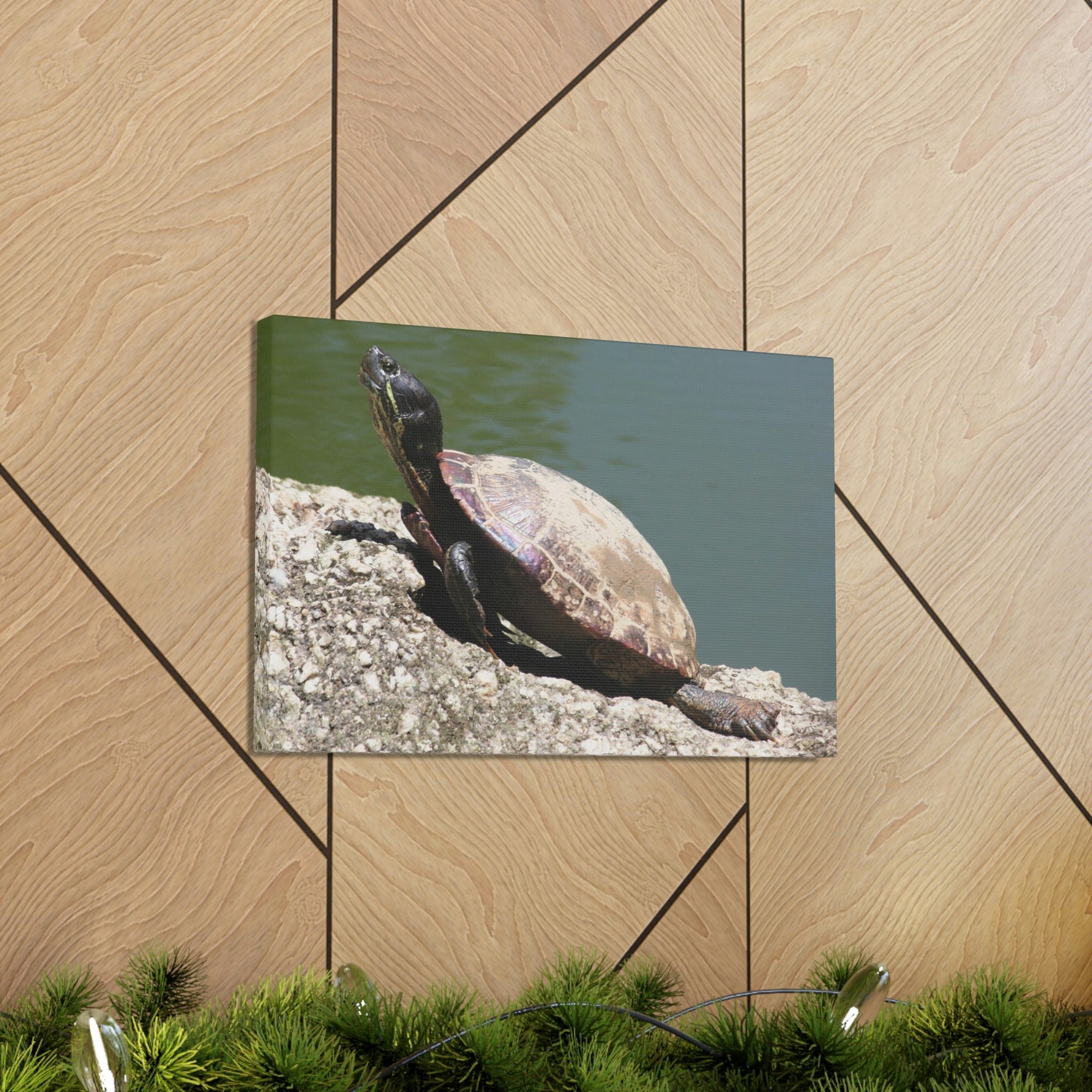 Scripture Walls Majestic Turtle Art Majestic Turtle Print Animal Wall Art Wildlife Canvas Prints Wall Art Ready to Hang Unframed-Express Your Love Gifts