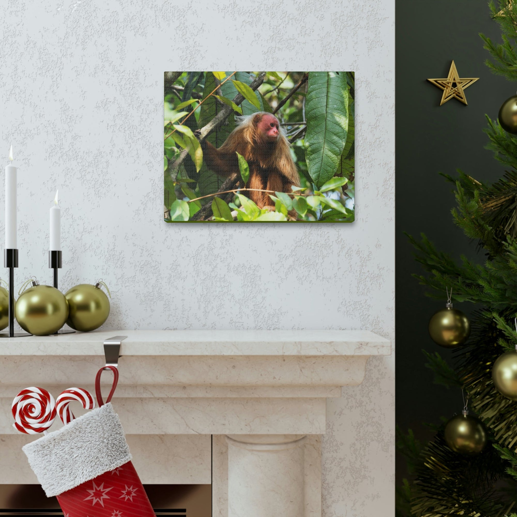 Scripture Walls Majestic Uakari Art Majestic Uakari Print Animal Wall Art Wildlife Canvas Prints Wall Art Ready to Hang Unframed-Express Your Love Gifts