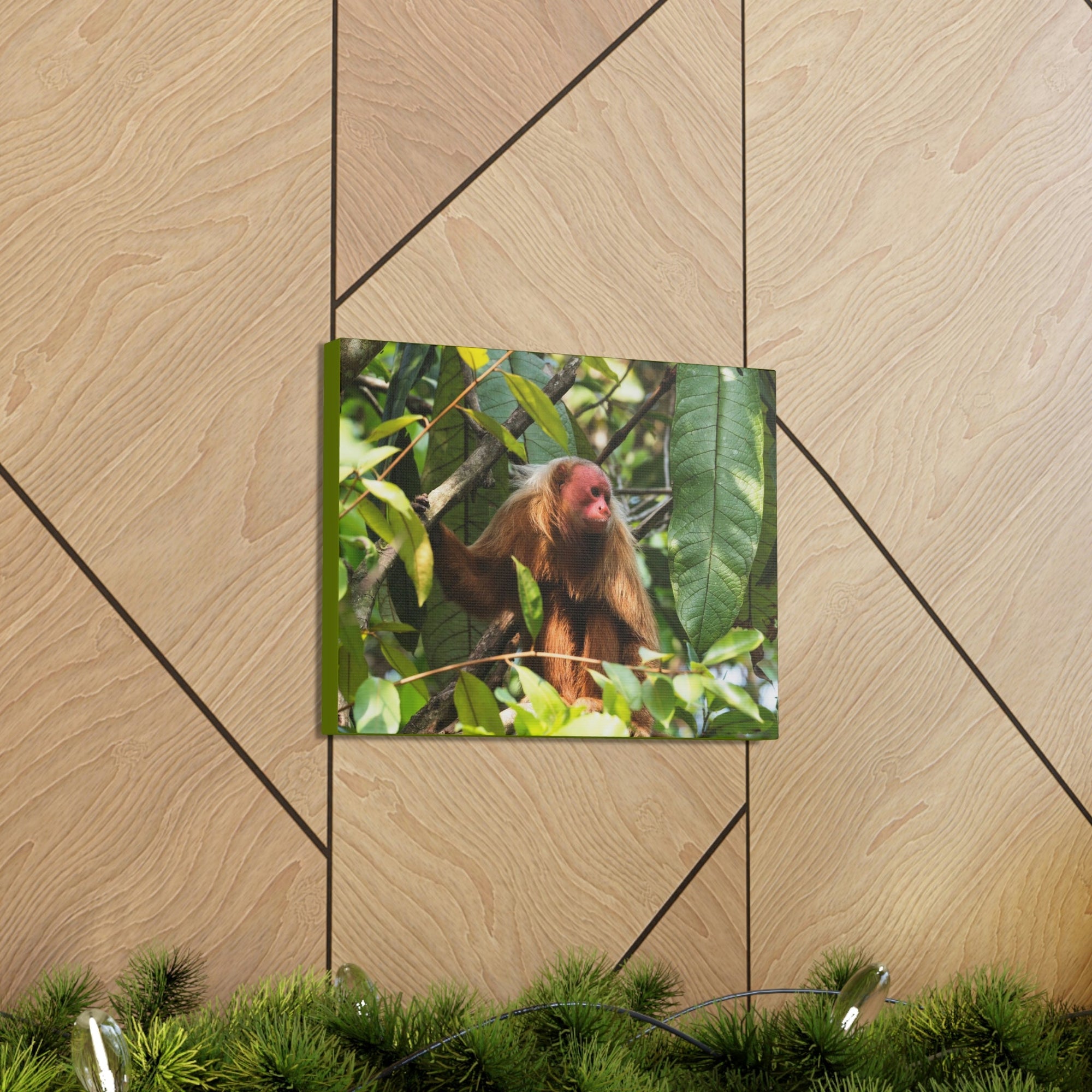 Scripture Walls Majestic Uakari Art Majestic Uakari Print Animal Wall Art Wildlife Canvas Prints Wall Art Ready to Hang Unframed-Express Your Love Gifts