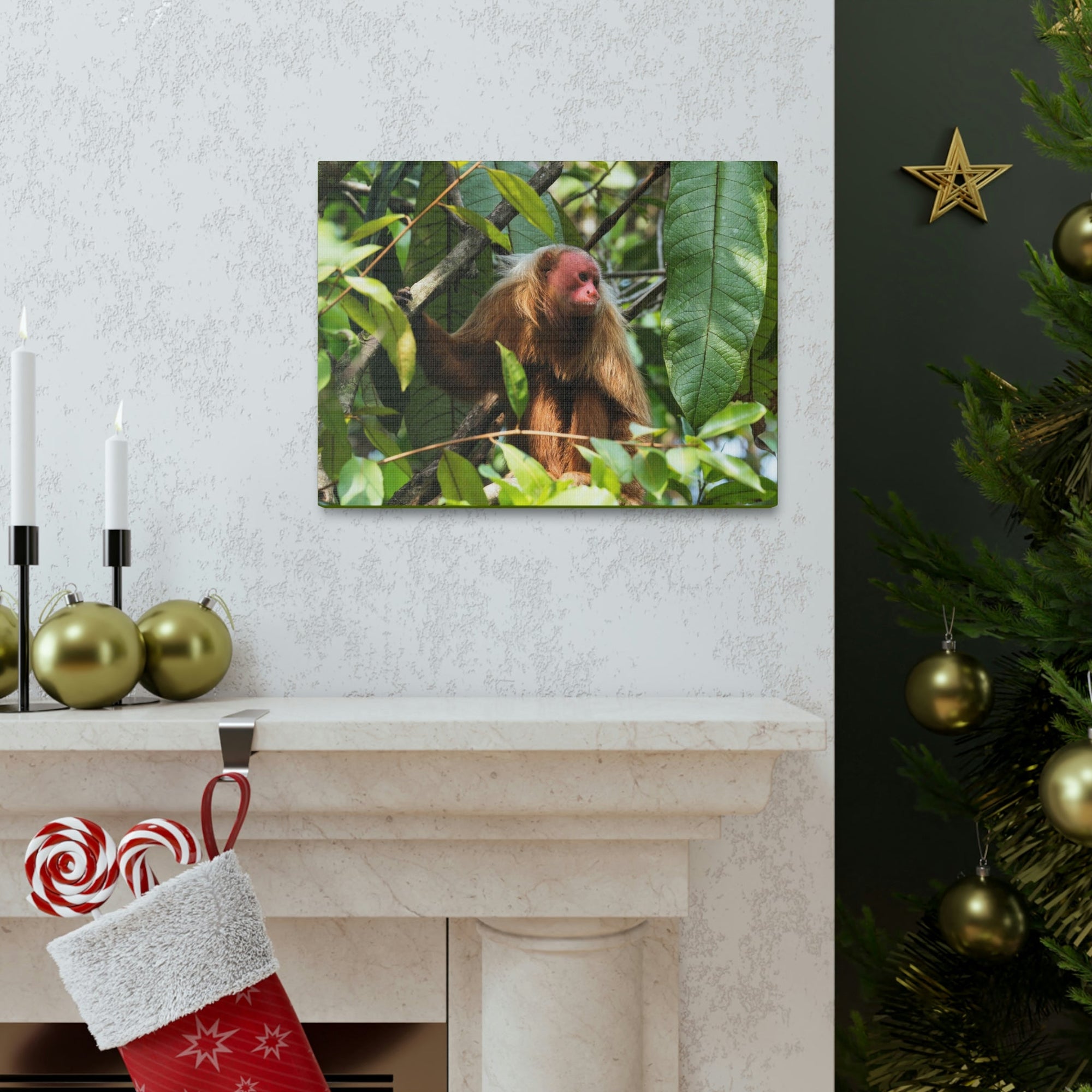 Scripture Walls Majestic Uakari Art Majestic Uakari Print Animal Wall Art Wildlife Canvas Prints Wall Art Ready to Hang Unframed-Express Your Love Gifts