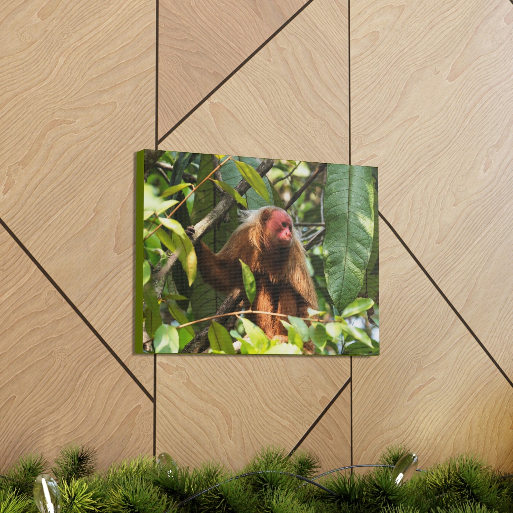 Scripture Walls Majestic Uakari Art Majestic Uakari Print Animal Wall Art Wildlife Canvas Prints Wall Art Ready to Hang Unframed-Express Your Love Gifts