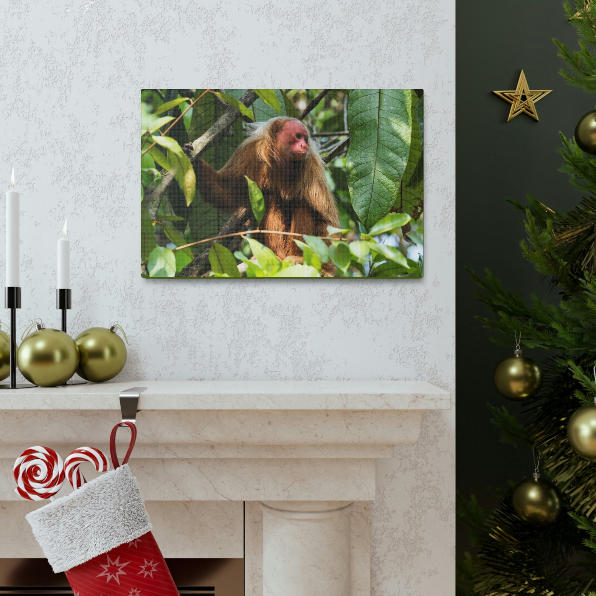 Scripture Walls Majestic Uakari Art Majestic Uakari Print Animal Wall Art Wildlife Canvas Prints Wall Art Ready to Hang Unframed-Express Your Love Gifts