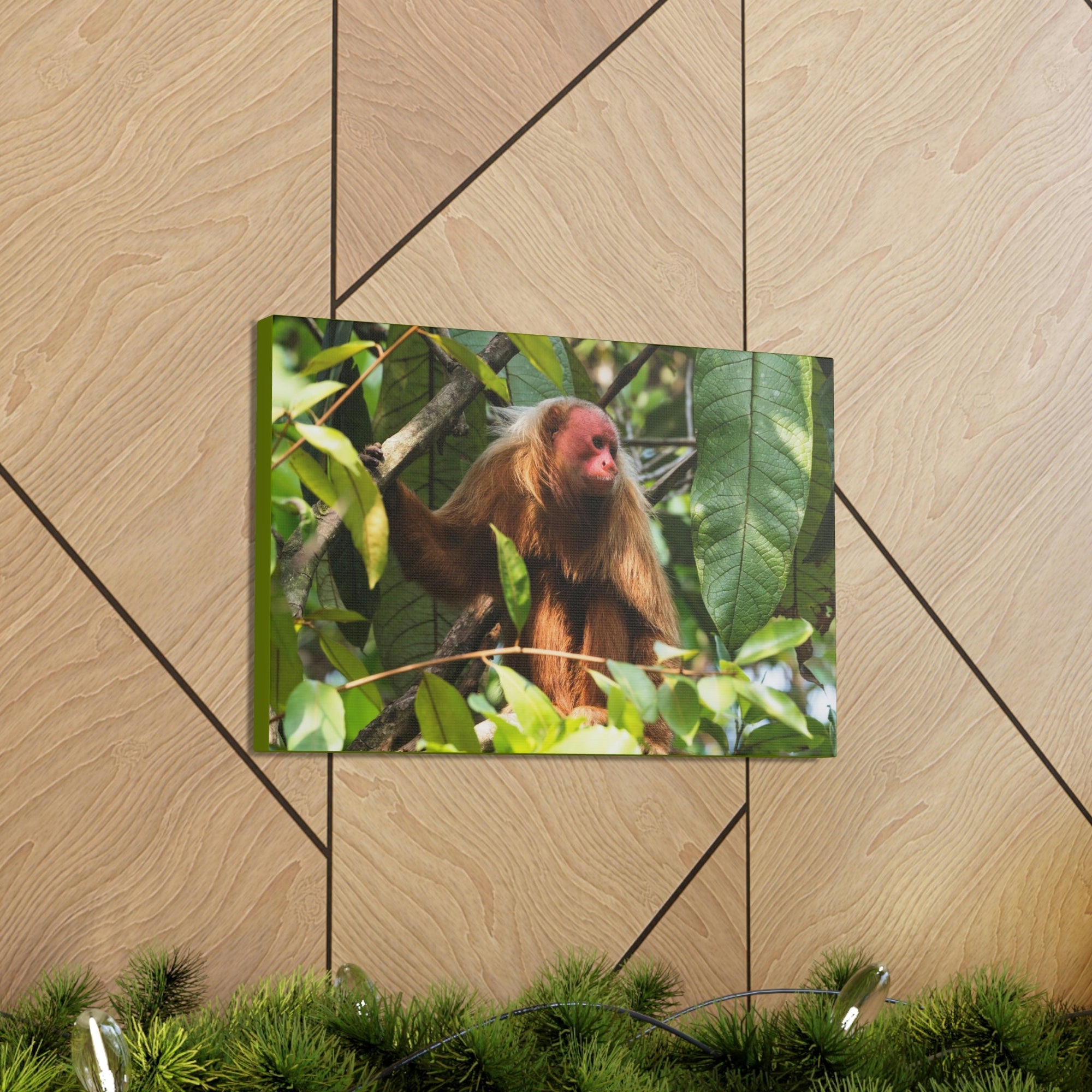 Scripture Walls Majestic Uakari Art Majestic Uakari Print Animal Wall Art Wildlife Canvas Prints Wall Art Ready to Hang Unframed-Express Your Love Gifts