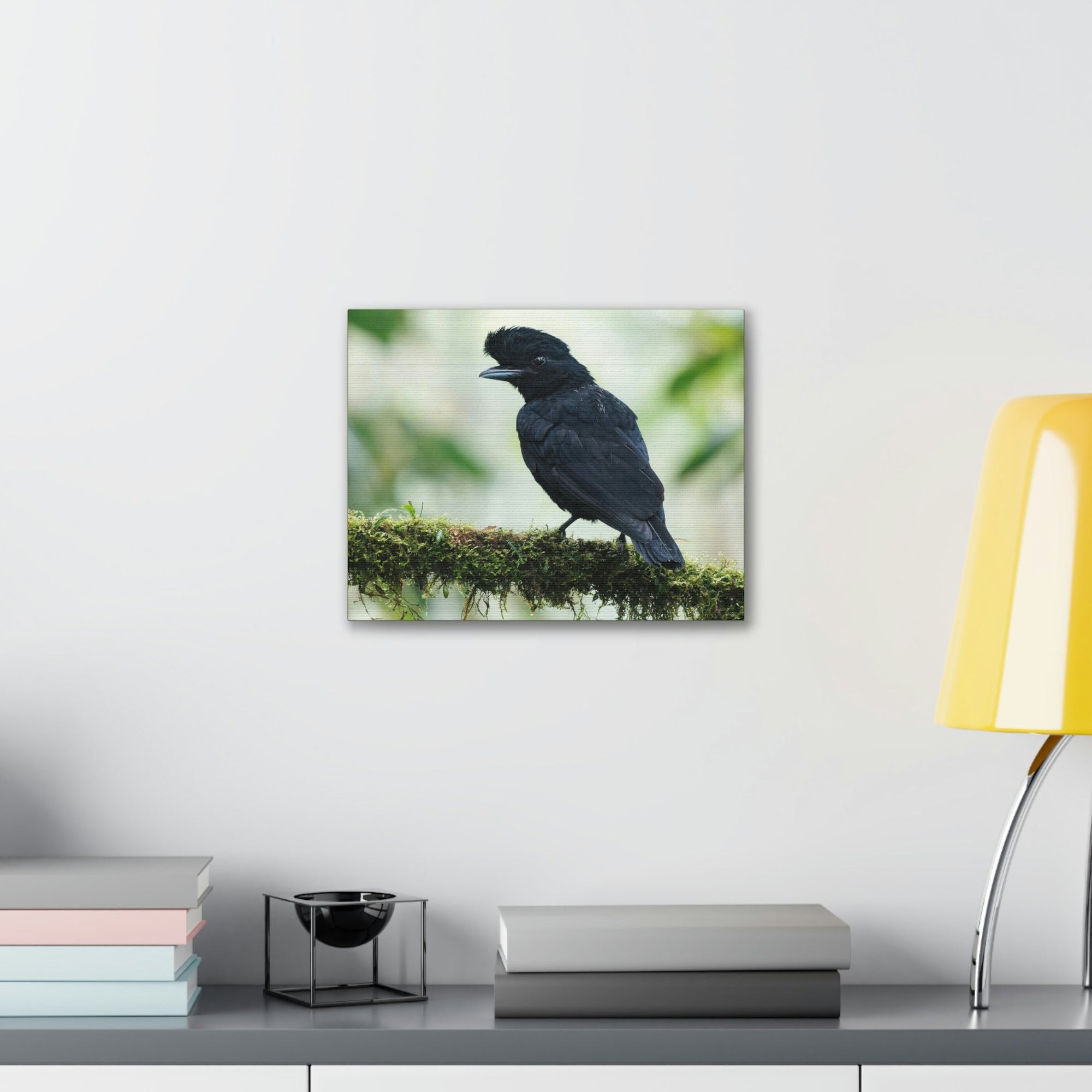 Scripture Walls Majestic Umbrella Bird Art Majestic Umbrella Bird Print Animal Wall Art Wildlife Canvas Prints Wall Art Ready to Hang Unframed-Express Your Love Gifts