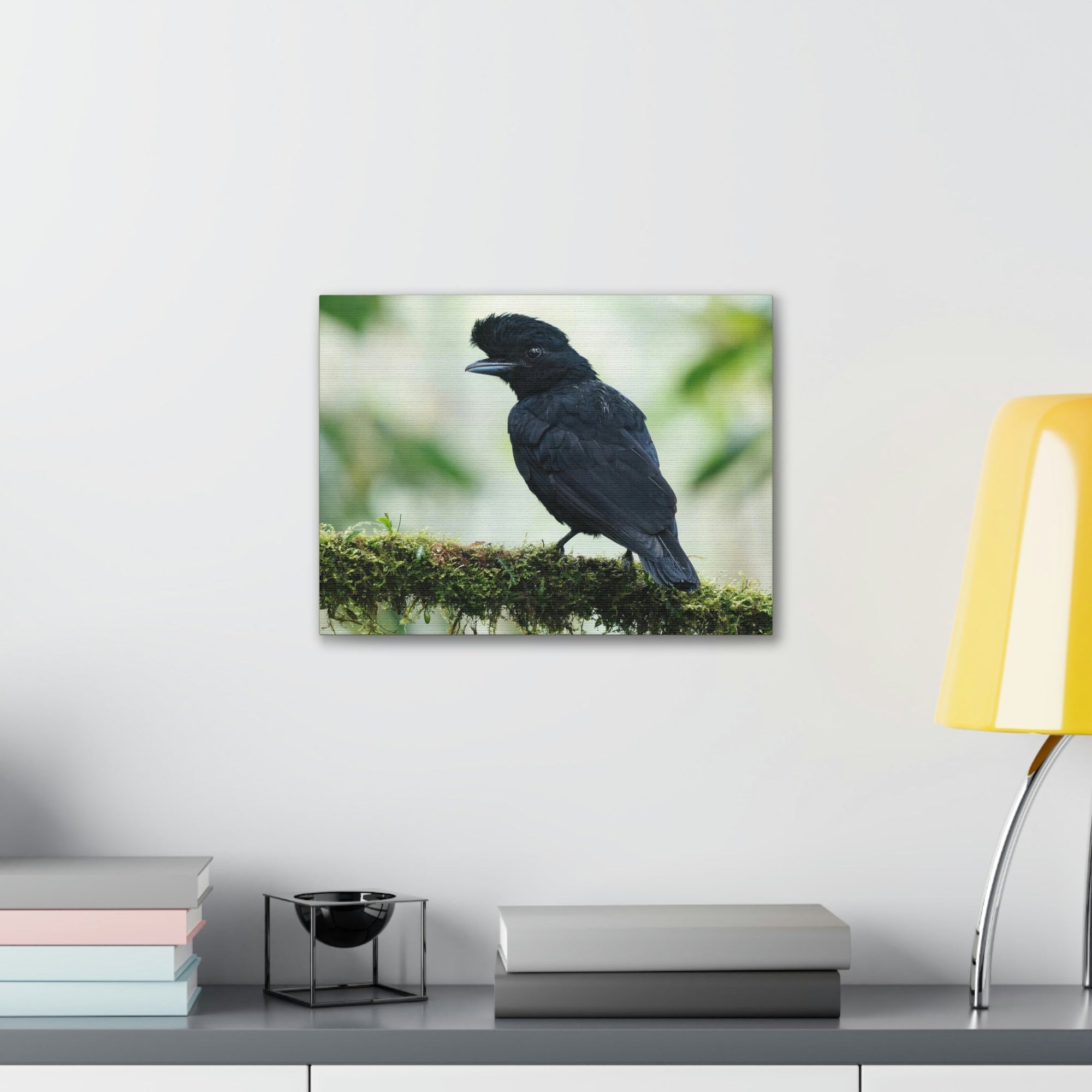 Scripture Walls Majestic Umbrella Bird Art Majestic Umbrella Bird Print Animal Wall Art Wildlife Canvas Prints Wall Art Ready to Hang Unframed-Express Your Love Gifts