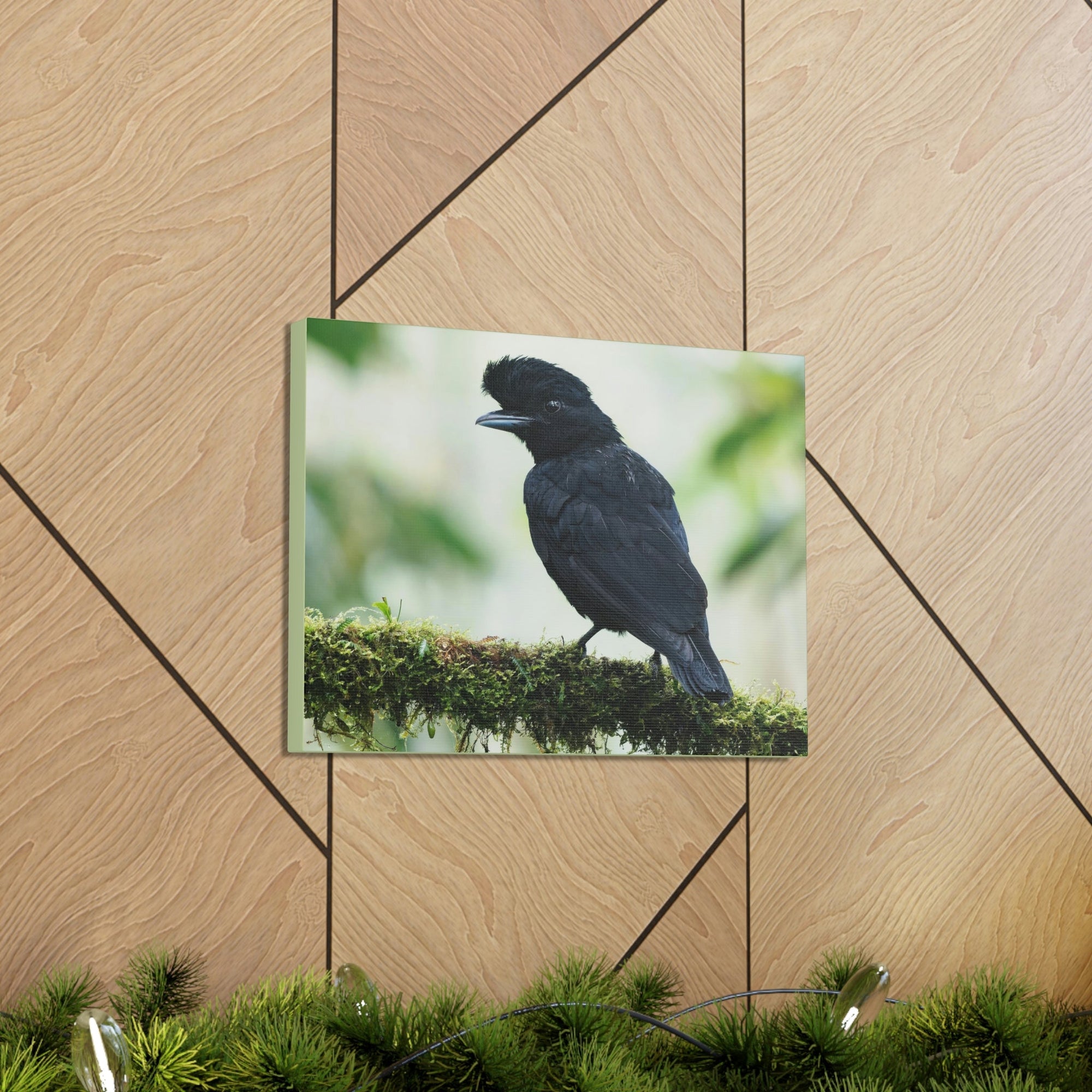 Scripture Walls Majestic Umbrella Bird Art Majestic Umbrella Bird Print Animal Wall Art Wildlife Canvas Prints Wall Art Ready to Hang Unframed-Express Your Love Gifts