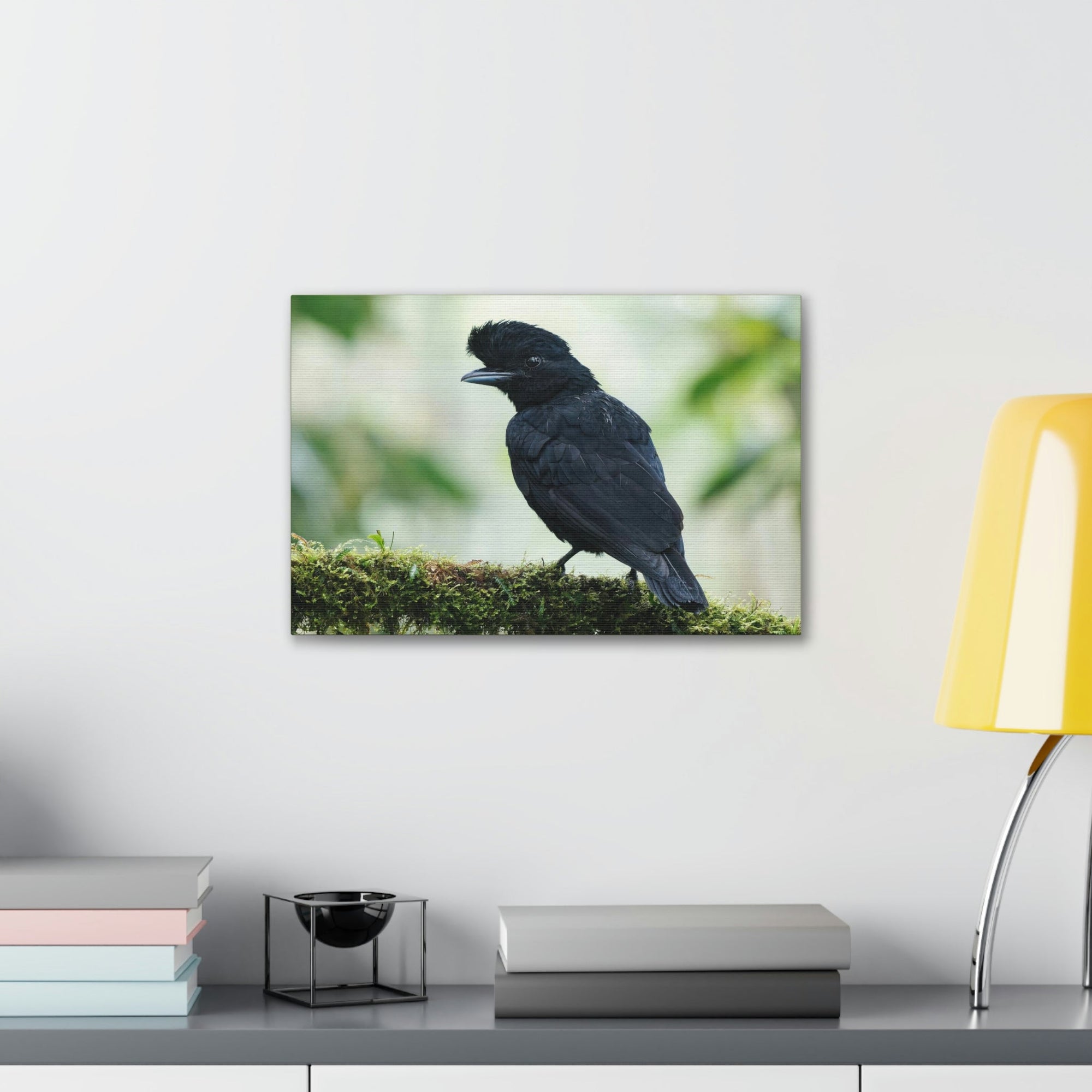 Scripture Walls Majestic Umbrella Bird Art Majestic Umbrella Bird Print Animal Wall Art Wildlife Canvas Prints Wall Art Ready to Hang Unframed-Express Your Love Gifts