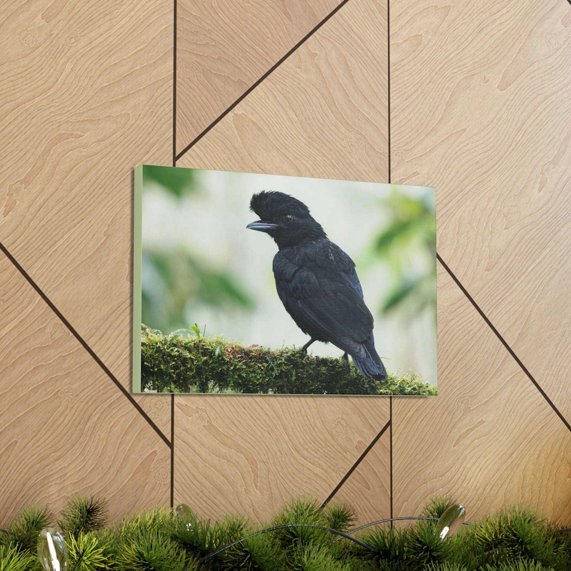 Scripture Walls Majestic Umbrella Bird Art Majestic Umbrella Bird Print Animal Wall Art Wildlife Canvas Prints Wall Art Ready to Hang Unframed-Express Your Love Gifts