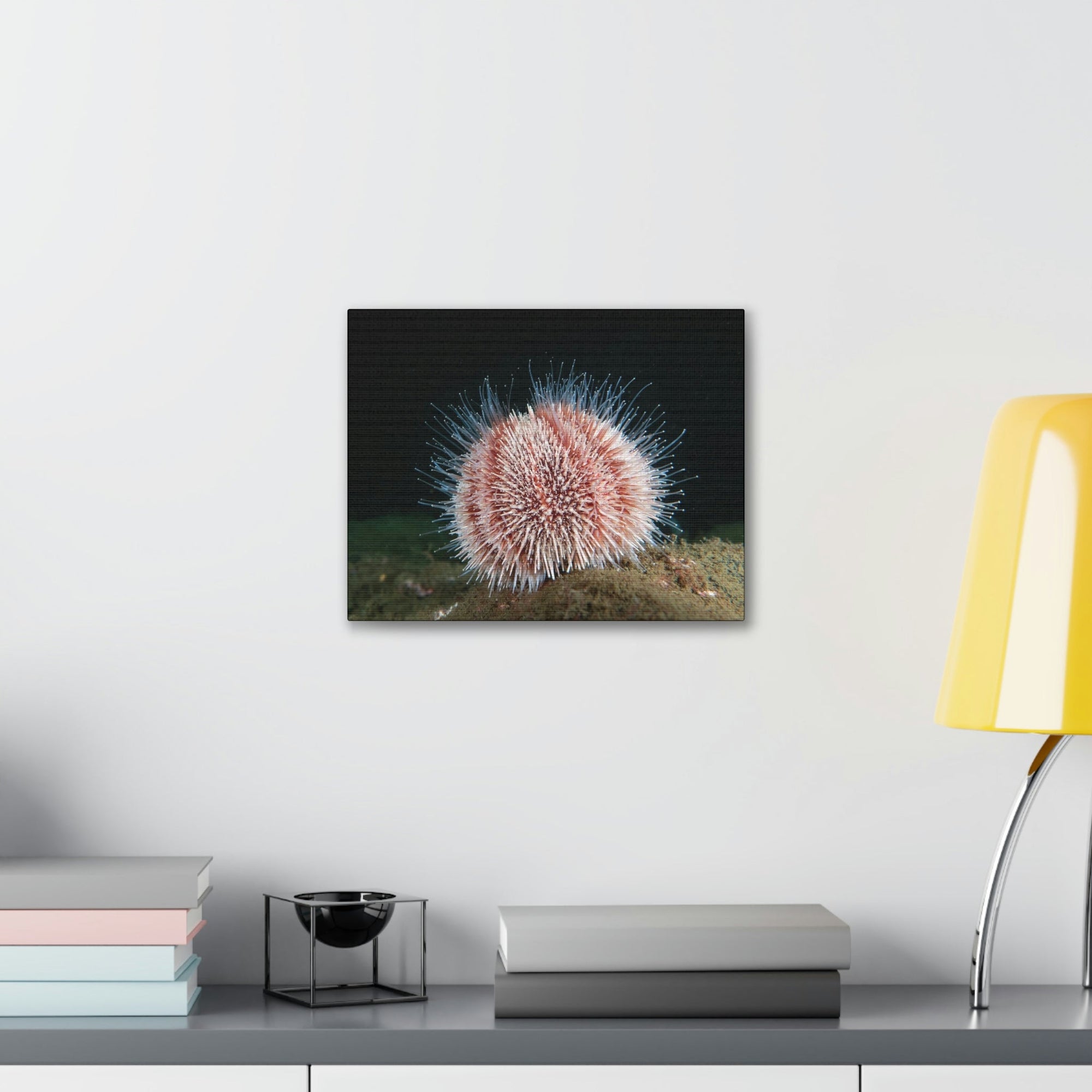 Scripture Walls Majestic Urchin Art Majestic Urchin Print Animal Wall Art Wildlife Canvas Prints Wall Art Ready to Hang Unframed-Express Your Love Gifts