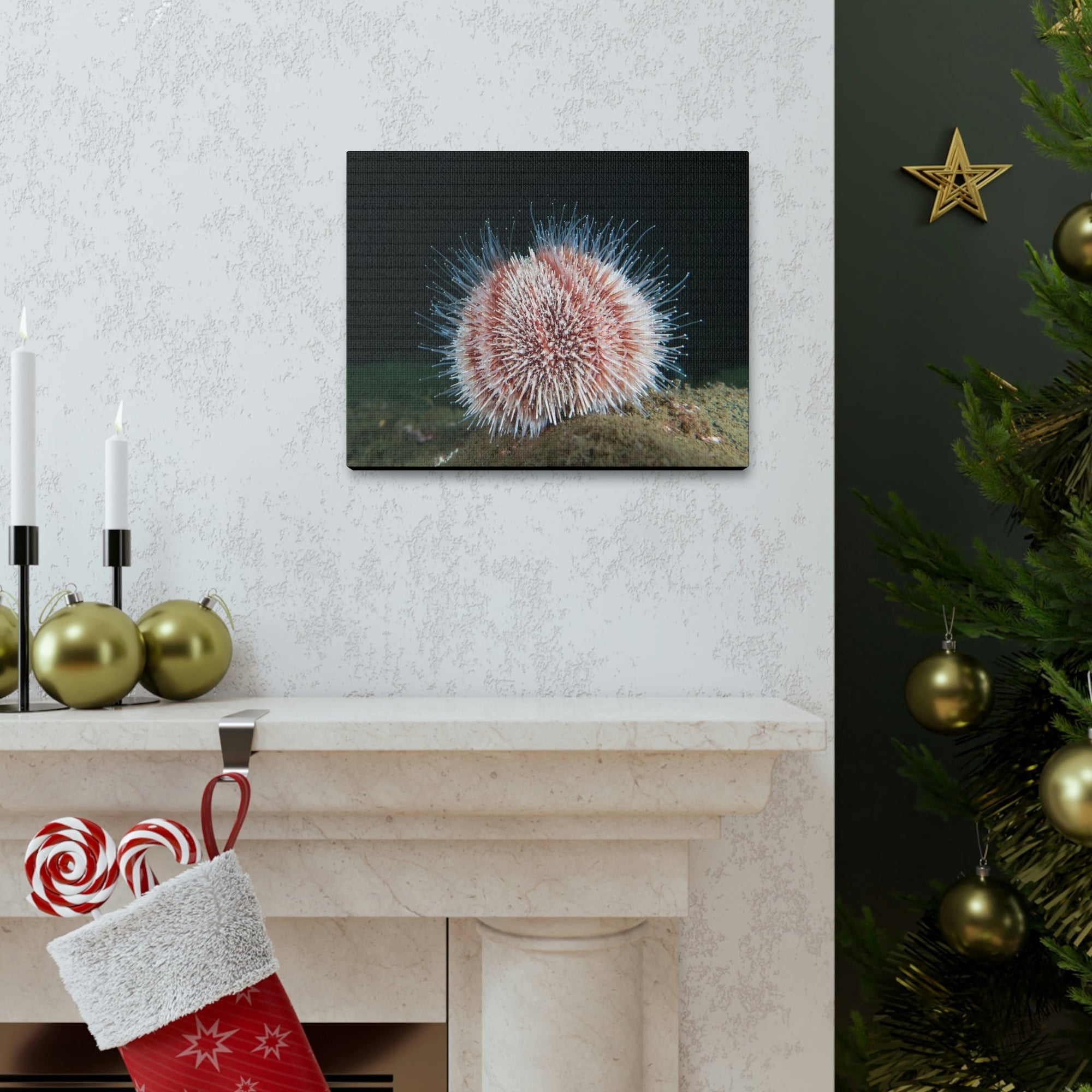 Scripture Walls Majestic Urchin Art Majestic Urchin Print Animal Wall Art Wildlife Canvas Prints Wall Art Ready to Hang Unframed-Express Your Love Gifts