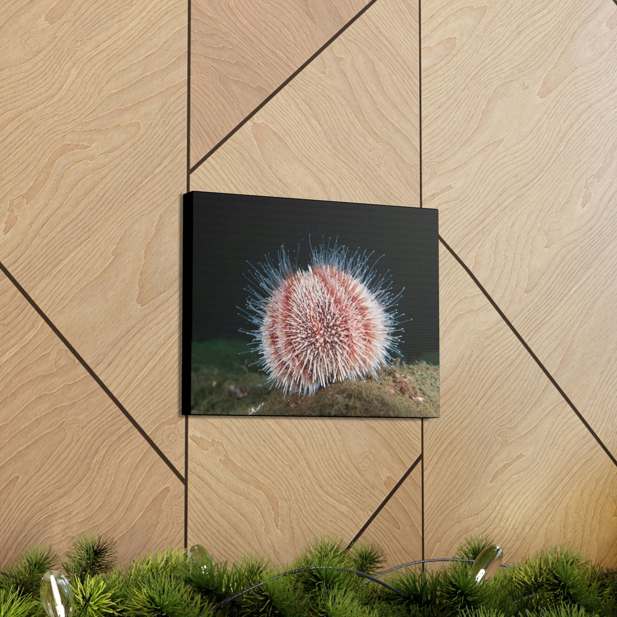 Scripture Walls Majestic Urchin Art Majestic Urchin Print Animal Wall Art Wildlife Canvas Prints Wall Art Ready to Hang Unframed-Express Your Love Gifts