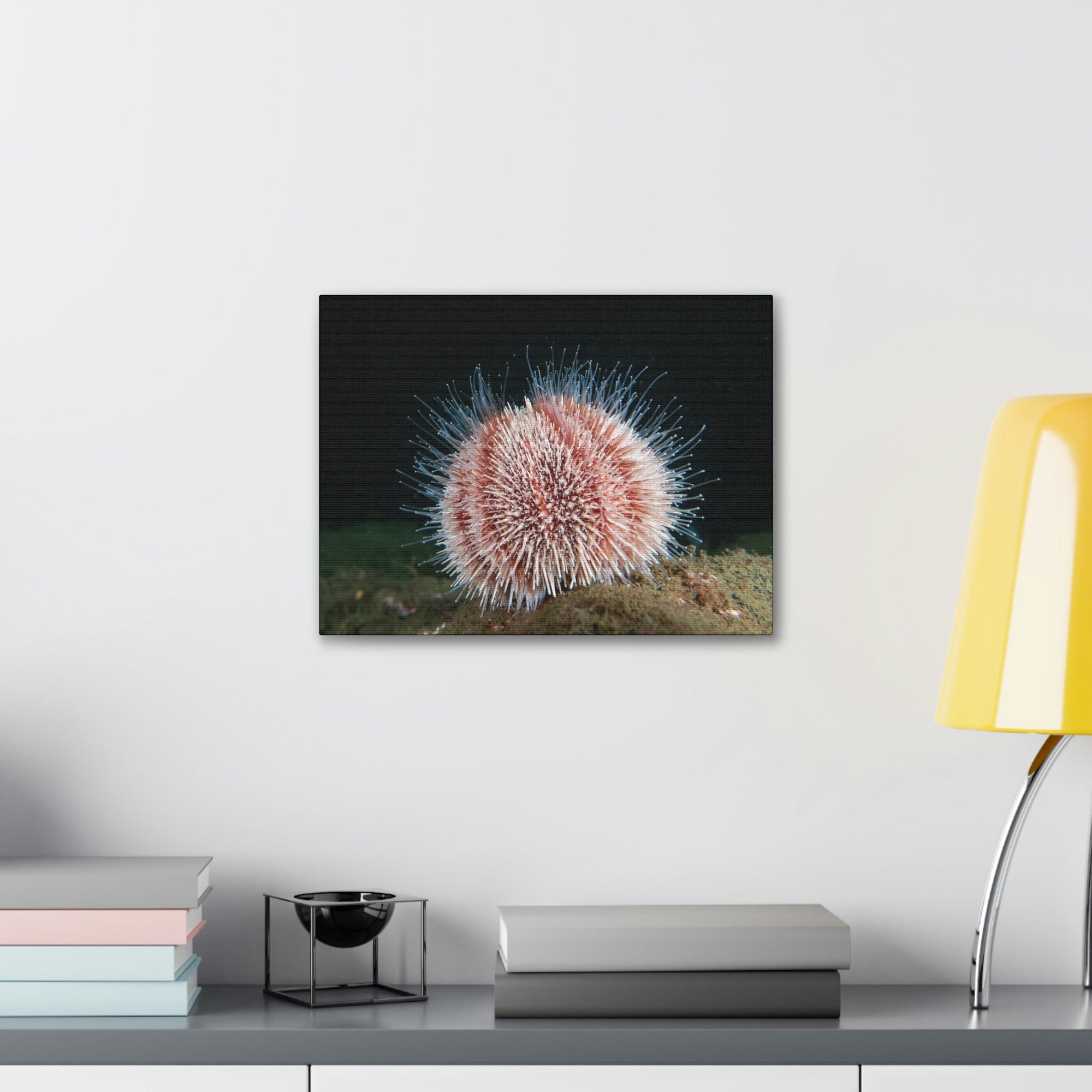 Scripture Walls Majestic Urchin Art Majestic Urchin Print Animal Wall Art Wildlife Canvas Prints Wall Art Ready to Hang Unframed-Express Your Love Gifts