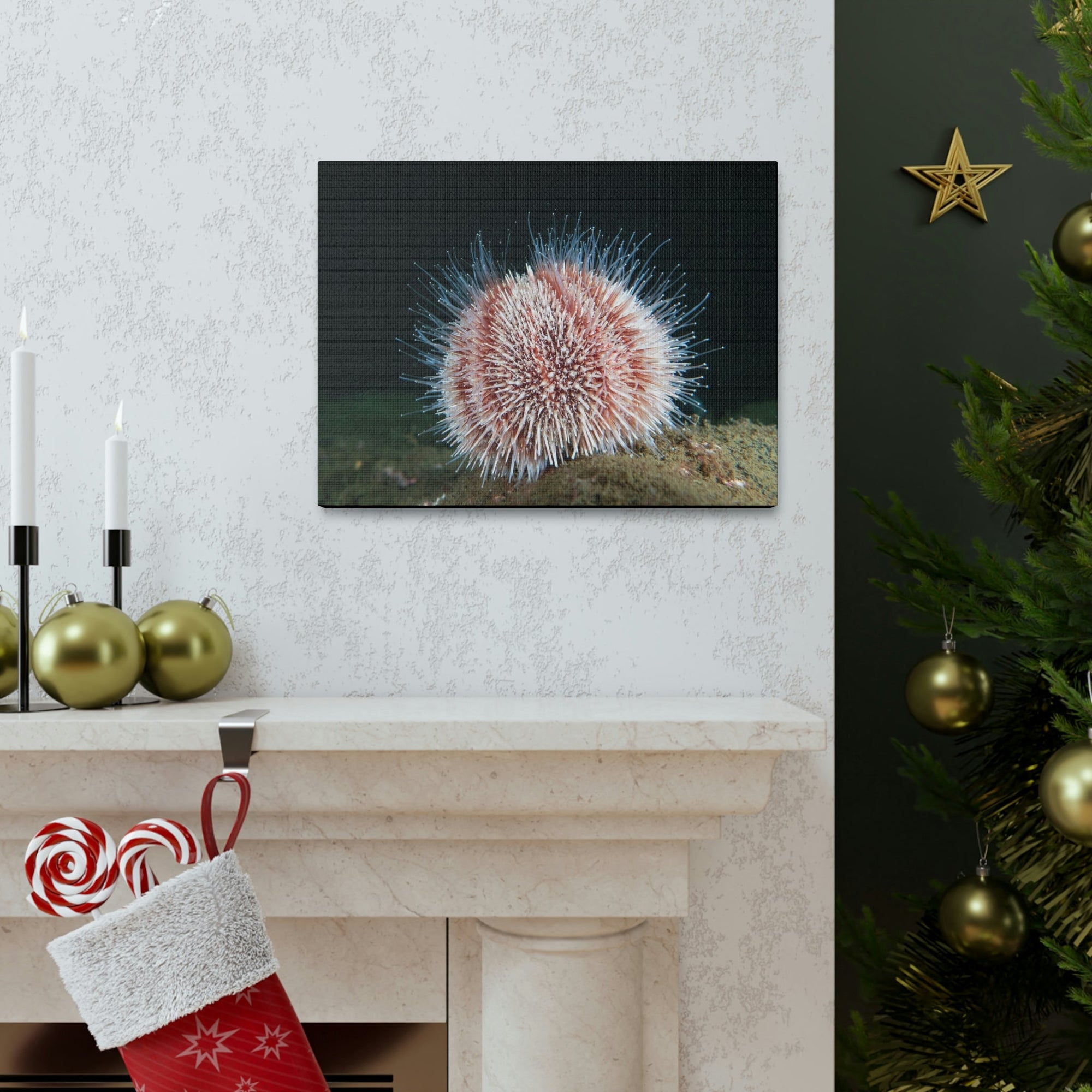 Scripture Walls Majestic Urchin Art Majestic Urchin Print Animal Wall Art Wildlife Canvas Prints Wall Art Ready to Hang Unframed-Express Your Love Gifts