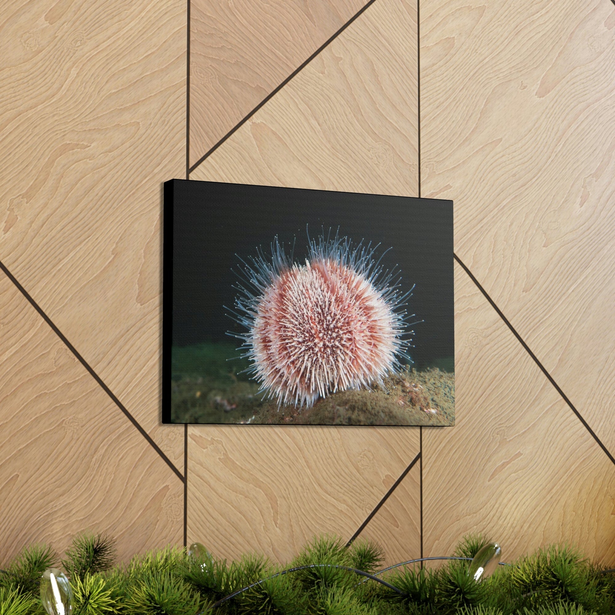 Scripture Walls Majestic Urchin Art Majestic Urchin Print Animal Wall Art Wildlife Canvas Prints Wall Art Ready to Hang Unframed-Express Your Love Gifts