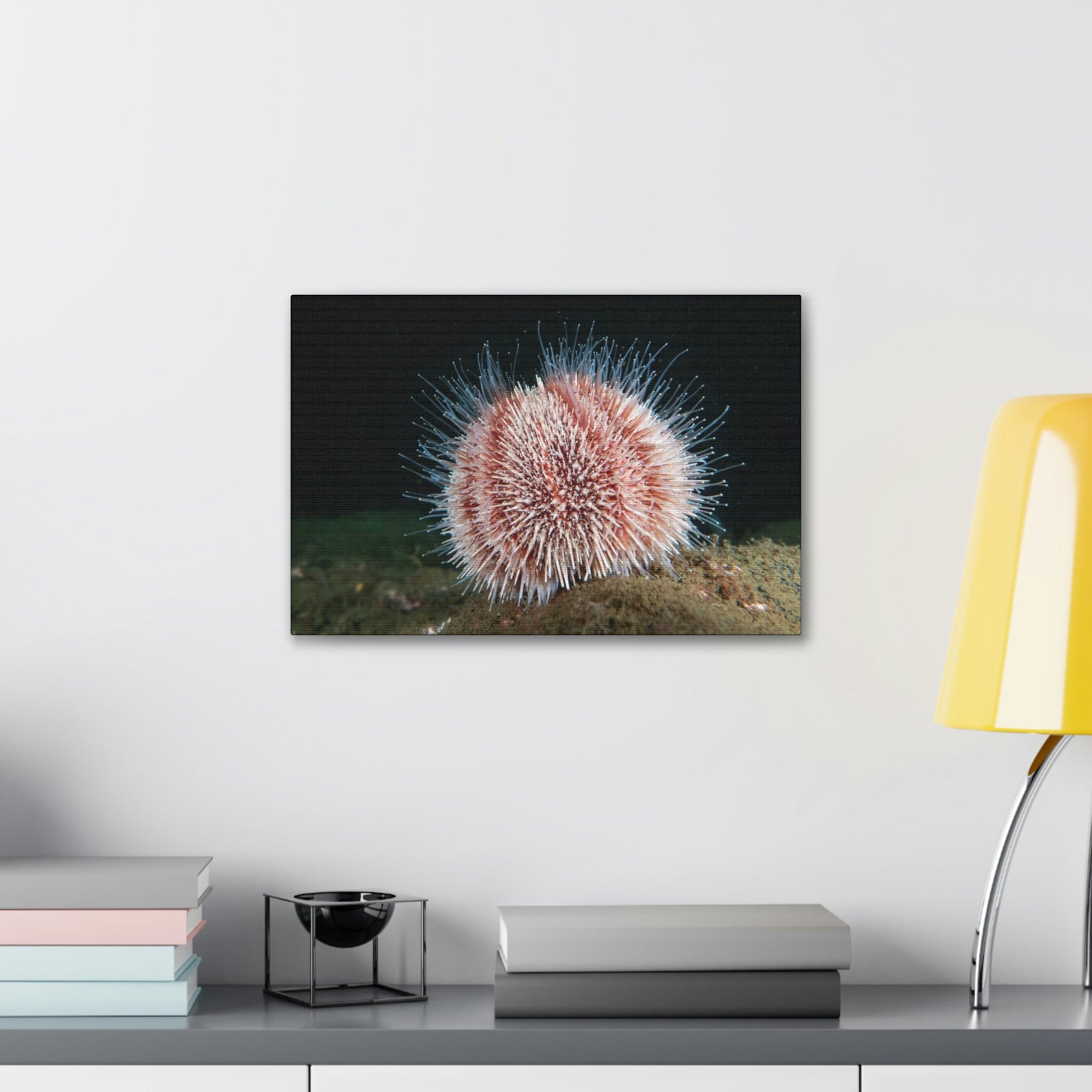 Scripture Walls Majestic Urchin Art Majestic Urchin Print Animal Wall Art Wildlife Canvas Prints Wall Art Ready to Hang Unframed-Express Your Love Gifts