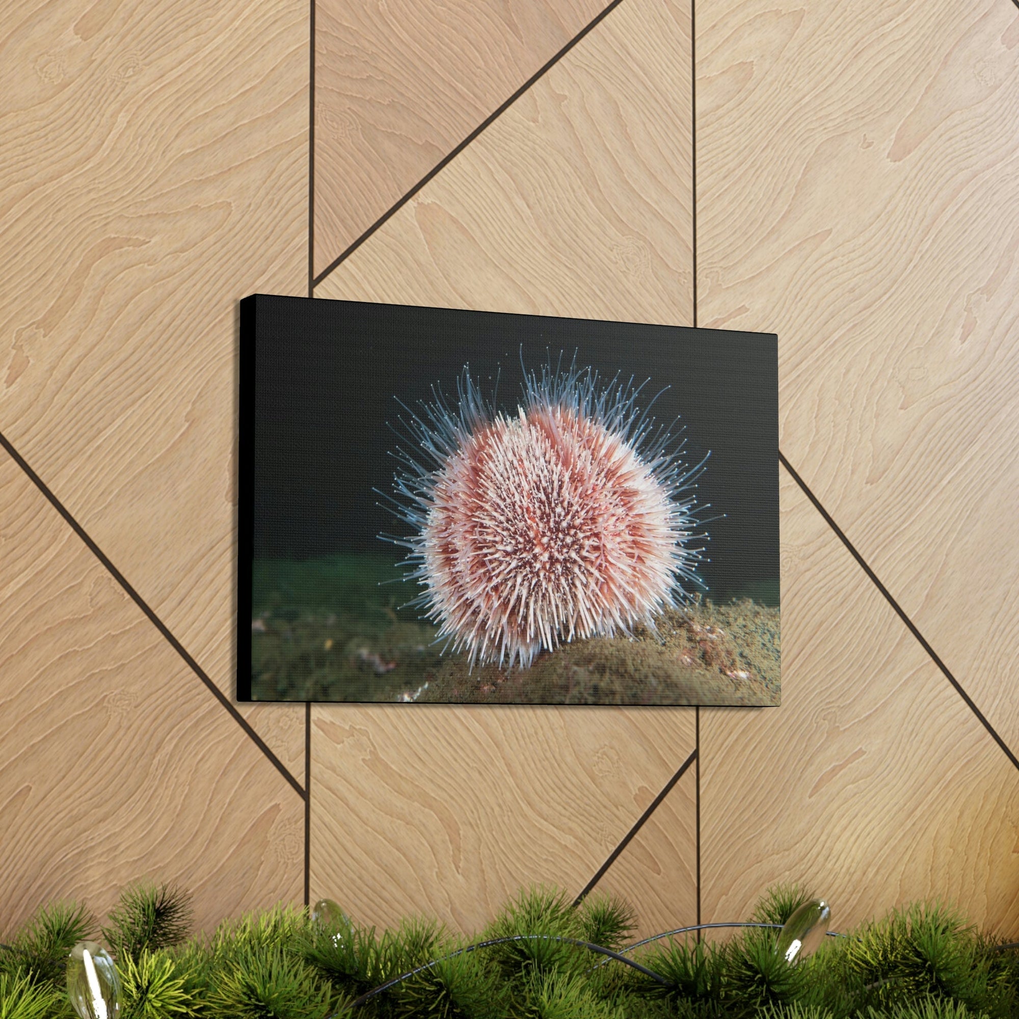 Scripture Walls Majestic Urchin Art Majestic Urchin Print Animal Wall Art Wildlife Canvas Prints Wall Art Ready to Hang Unframed-Express Your Love Gifts