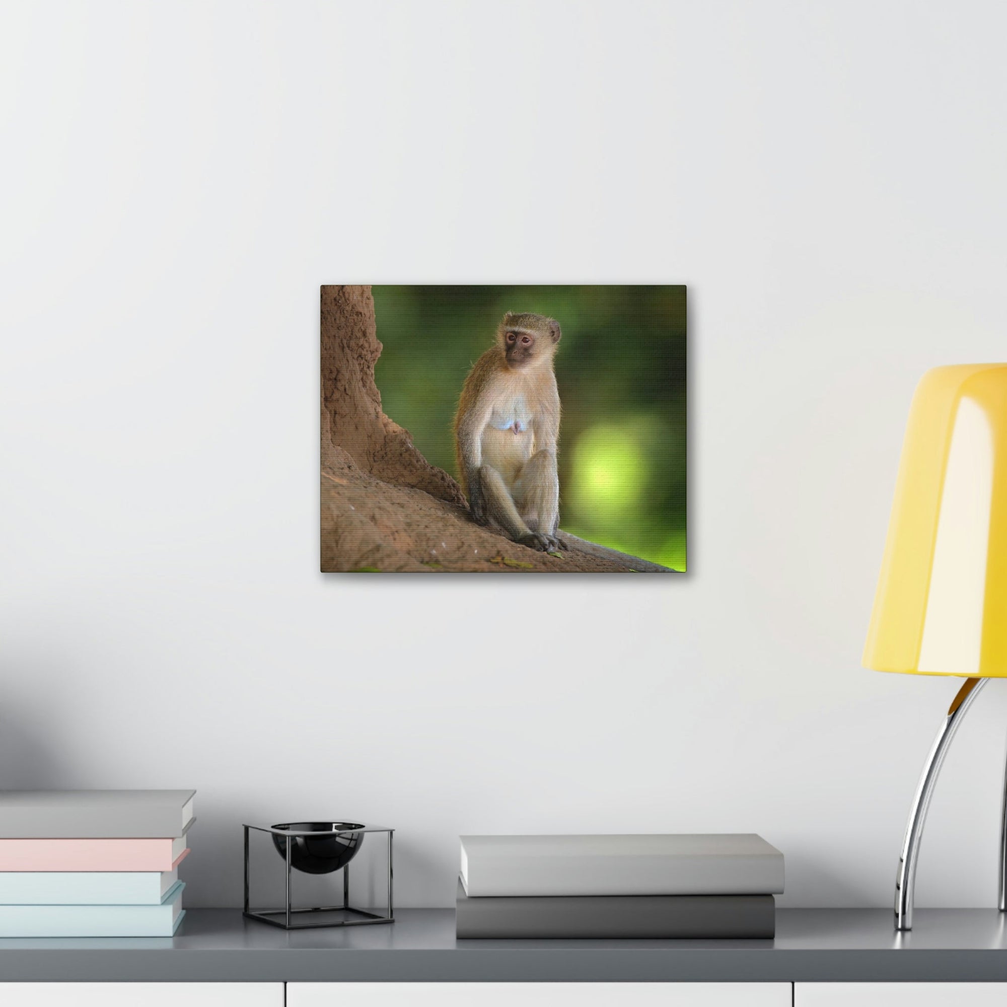 Scripture Walls Majestic Vervet Art Majestic Vervet Print Animal Wall Art Wildlife Canvas Prints Wall Art Ready to Hang Unframed-Express Your Love Gifts