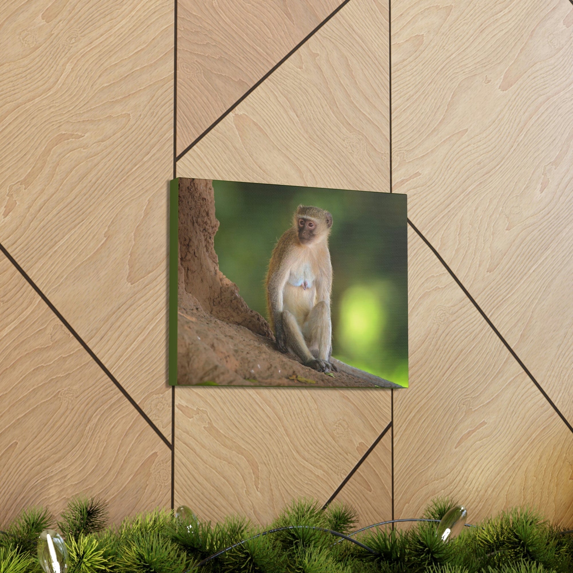 Scripture Walls Majestic Vervet Art Majestic Vervet Print Animal Wall Art Wildlife Canvas Prints Wall Art Ready to Hang Unframed-Express Your Love Gifts