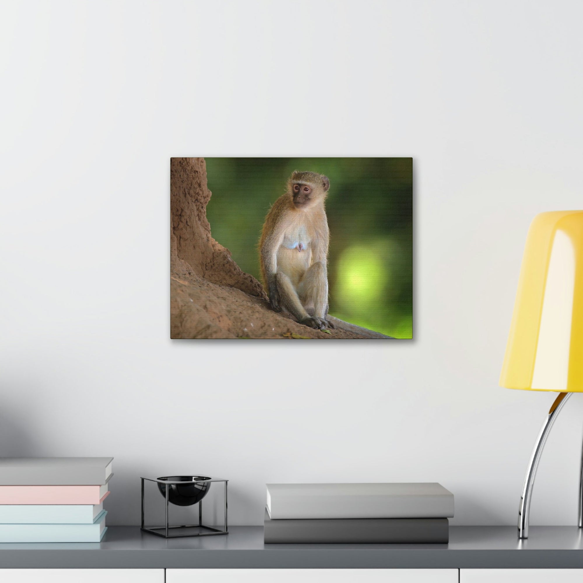 Scripture Walls Majestic Vervet Art Majestic Vervet Print Animal Wall Art Wildlife Canvas Prints Wall Art Ready to Hang Unframed-Express Your Love Gifts