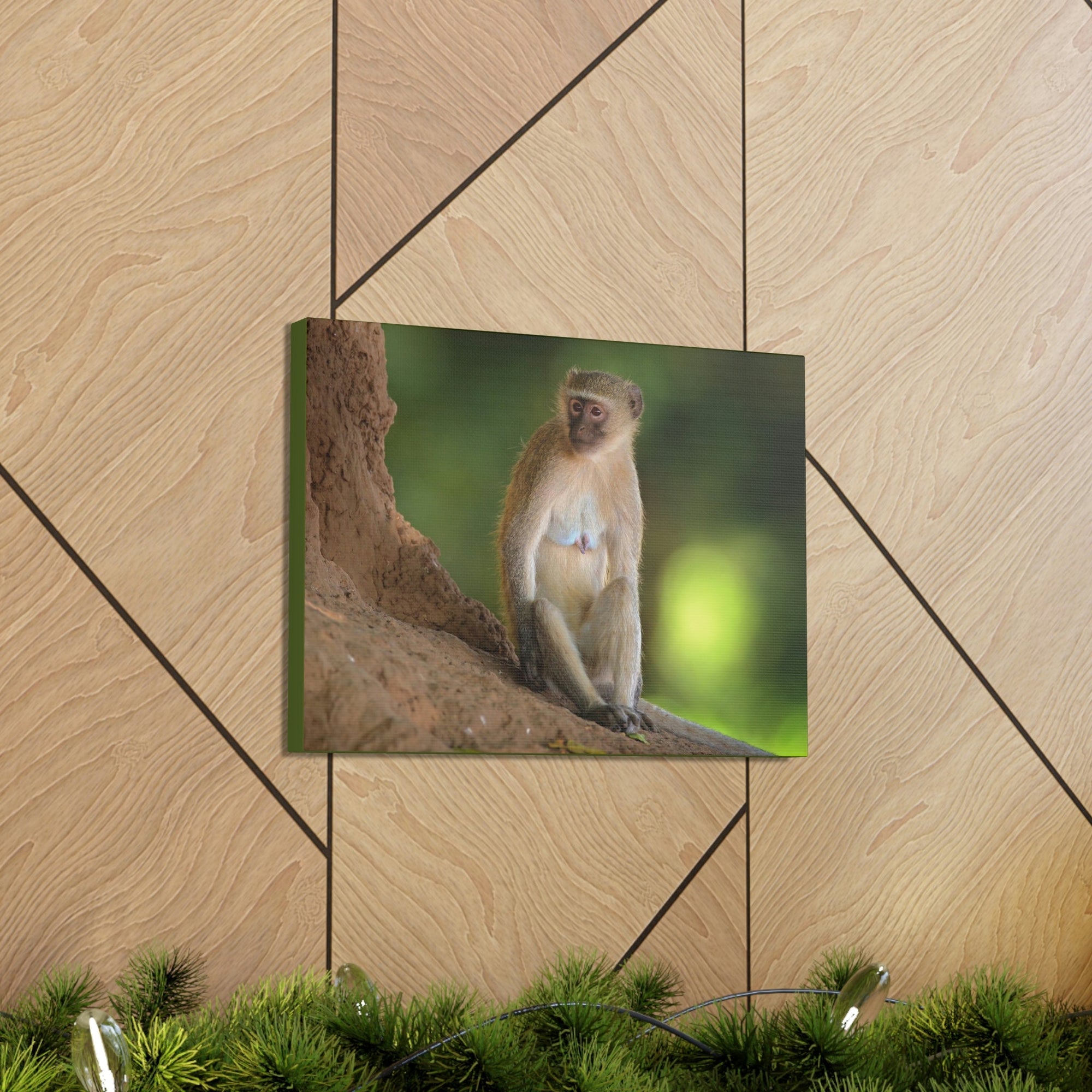 Scripture Walls Majestic Vervet Art Majestic Vervet Print Animal Wall Art Wildlife Canvas Prints Wall Art Ready to Hang Unframed-Express Your Love Gifts