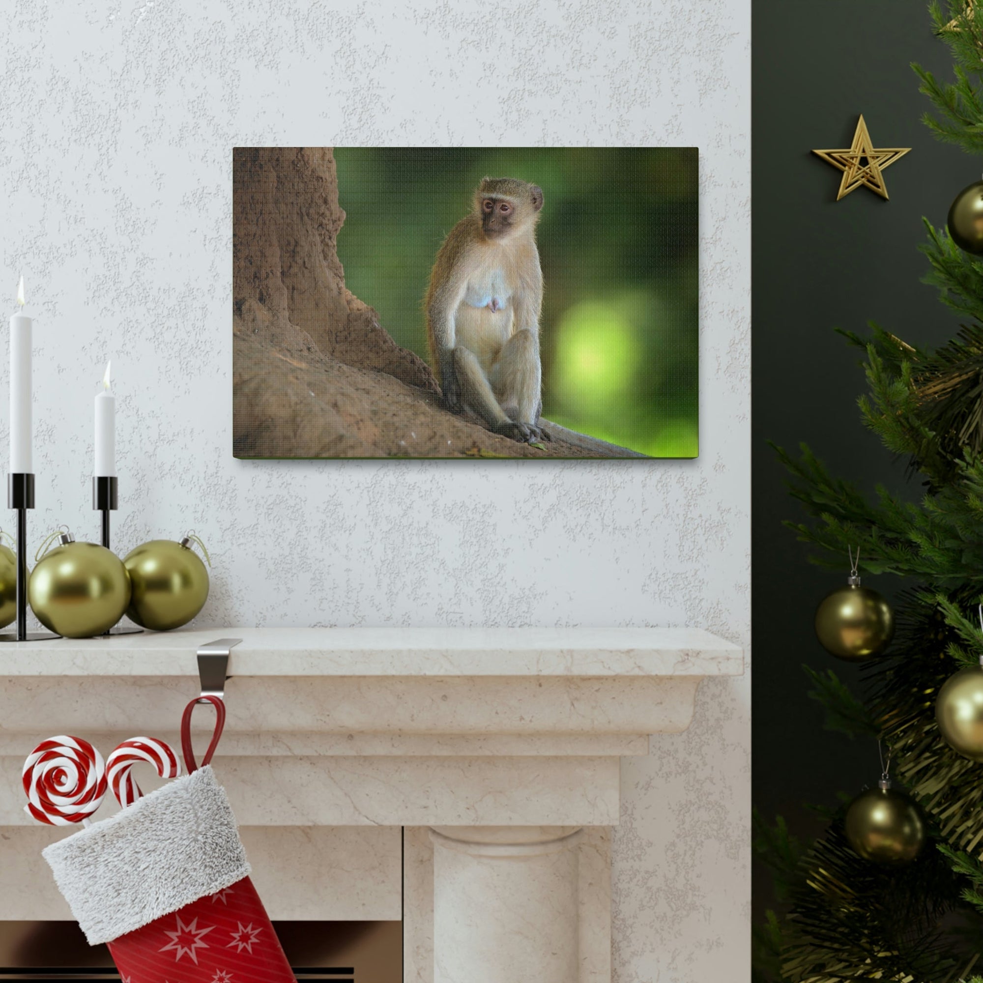 Scripture Walls Majestic Vervet Art Majestic Vervet Print Animal Wall Art Wildlife Canvas Prints Wall Art Ready to Hang Unframed-Express Your Love Gifts