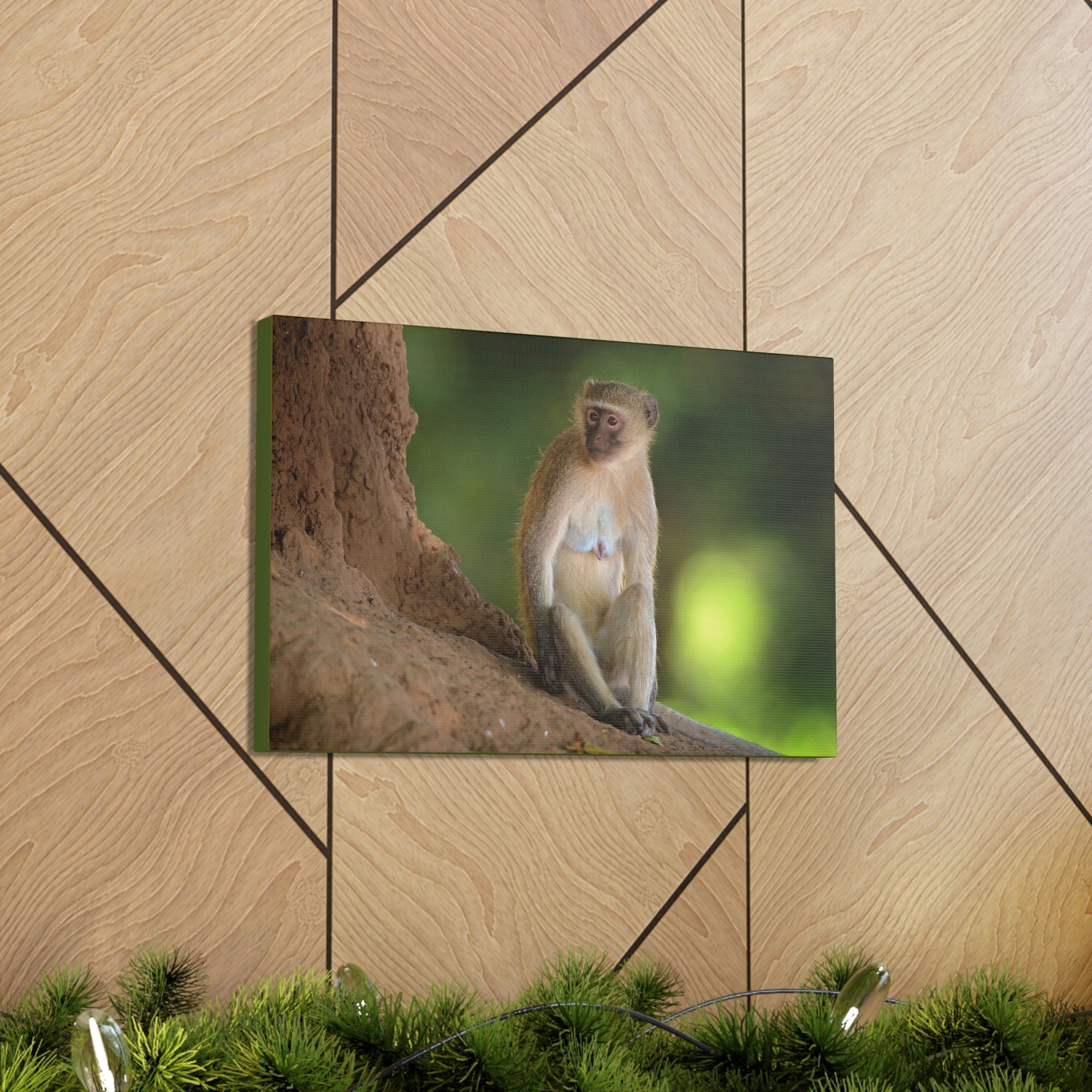 Scripture Walls Majestic Vervet Art Majestic Vervet Print Animal Wall Art Wildlife Canvas Prints Wall Art Ready to Hang Unframed-Express Your Love Gifts