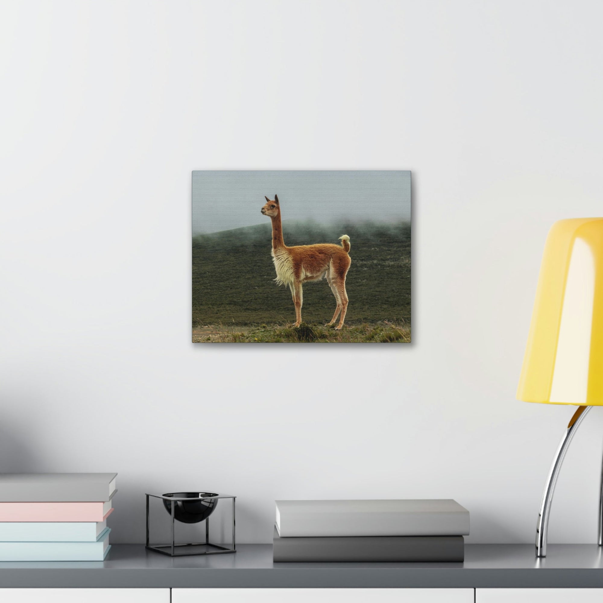 Scripture Walls Majestic Vicuna Art Majestic Vicuna Print Animal Wall Art Wildlife Canvas Prints Wall Art Ready to Hang Unframed-Express Your Love Gifts