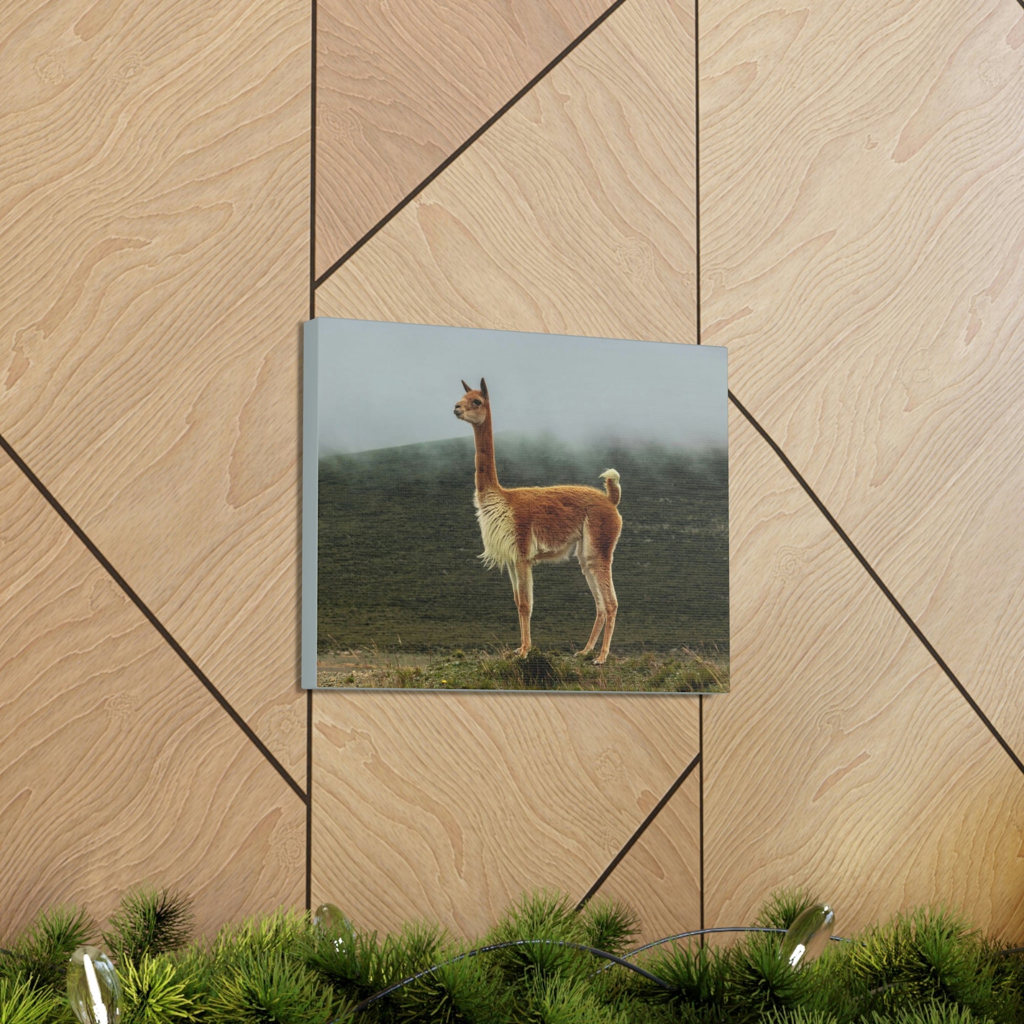 Scripture Walls Majestic Vicuna Art Majestic Vicuna Print Animal Wall Art Wildlife Canvas Prints Wall Art Ready to Hang Unframed-Express Your Love Gifts