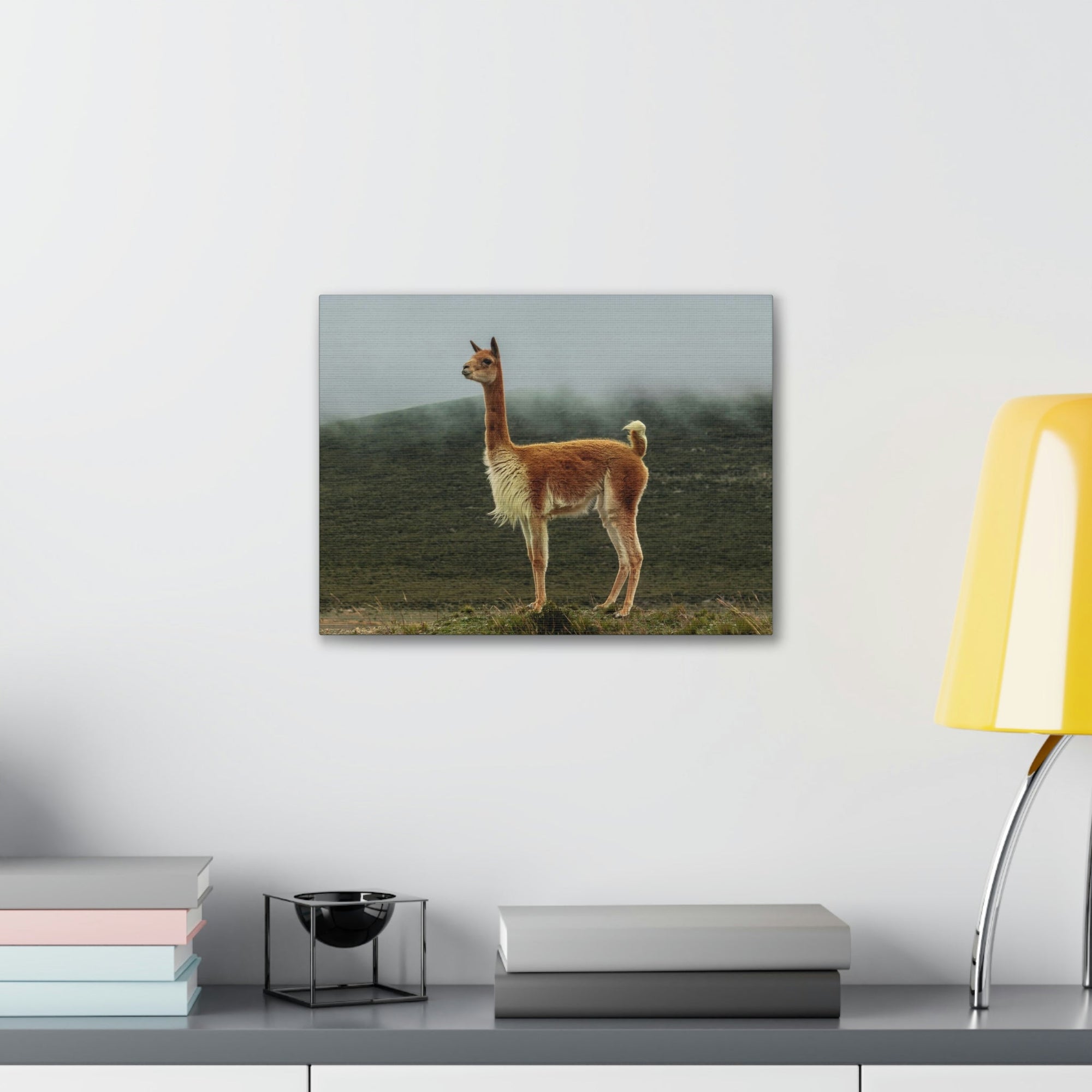 Scripture Walls Majestic Vicuna Art Majestic Vicuna Print Animal Wall Art Wildlife Canvas Prints Wall Art Ready to Hang Unframed-Express Your Love Gifts