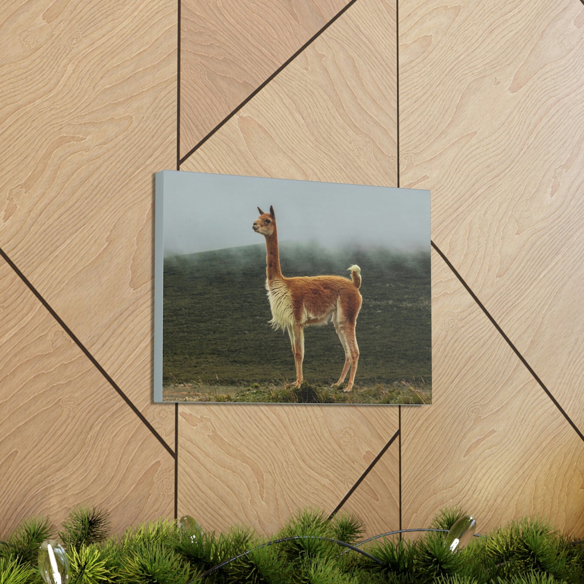 Scripture Walls Majestic Vicuna Art Majestic Vicuna Print Animal Wall Art Wildlife Canvas Prints Wall Art Ready to Hang Unframed-Express Your Love Gifts