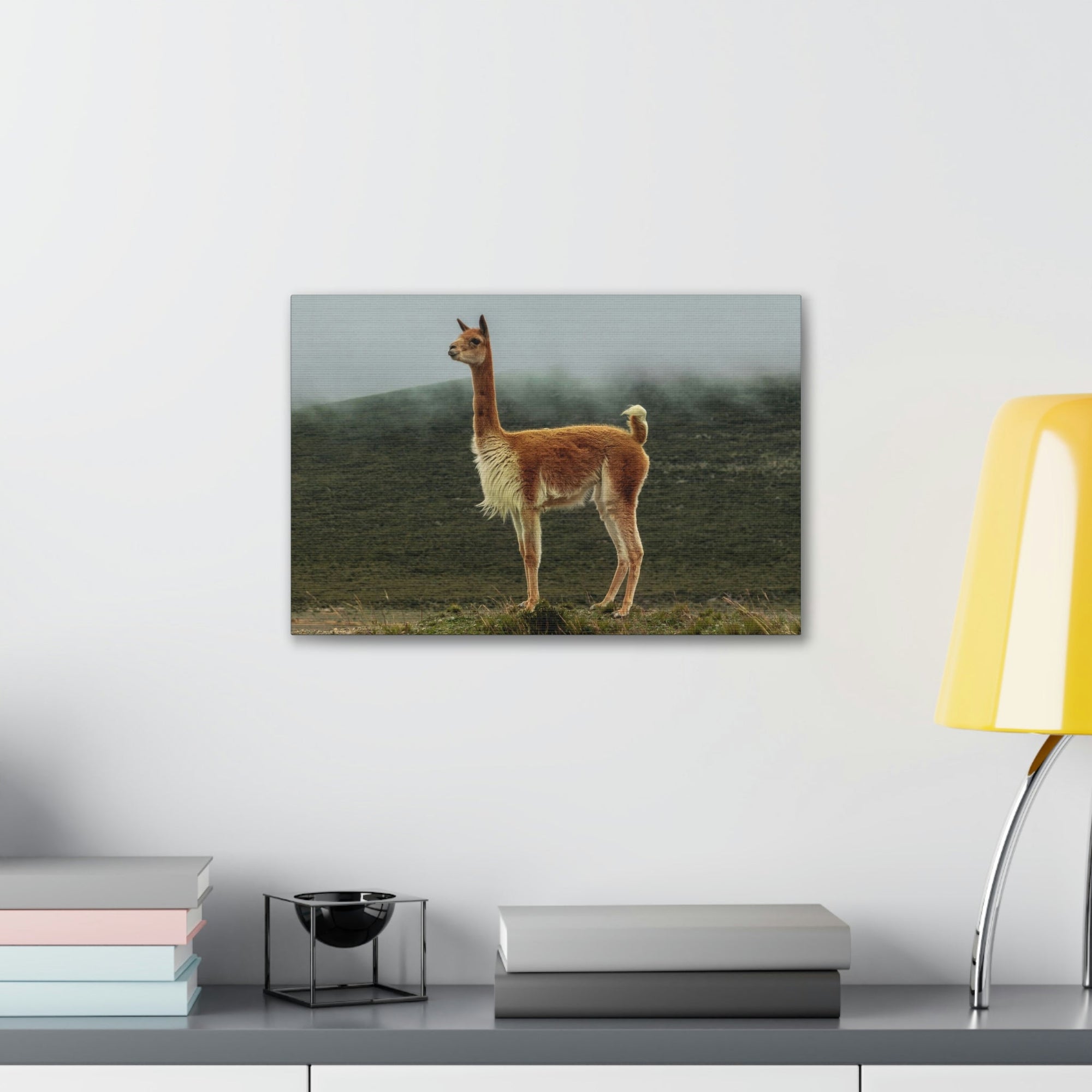 Scripture Walls Majestic Vicuna Art Majestic Vicuna Print Animal Wall Art Wildlife Canvas Prints Wall Art Ready to Hang Unframed-Express Your Love Gifts