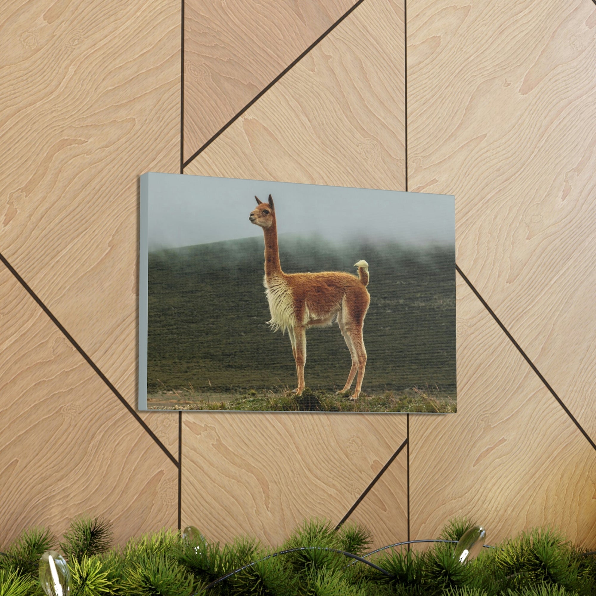 Scripture Walls Majestic Vicuna Art Majestic Vicuna Print Animal Wall Art Wildlife Canvas Prints Wall Art Ready to Hang Unframed-Express Your Love Gifts