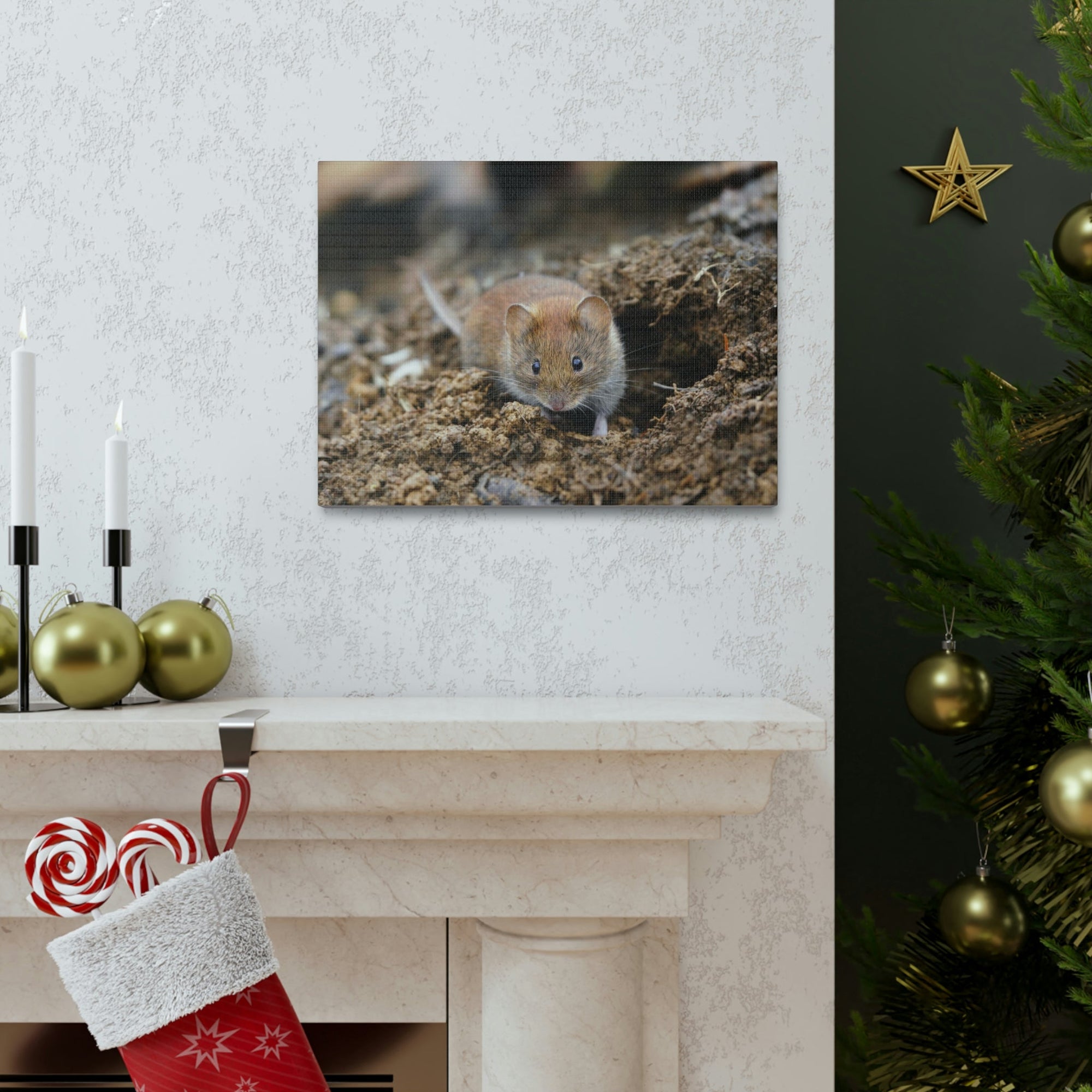 Scripture Walls Majestic Vole Art Majestic Vole Print Animal Wall Art Wildlife Canvas Prints Wall Art Ready to Hang Unframed-Express Your Love Gifts