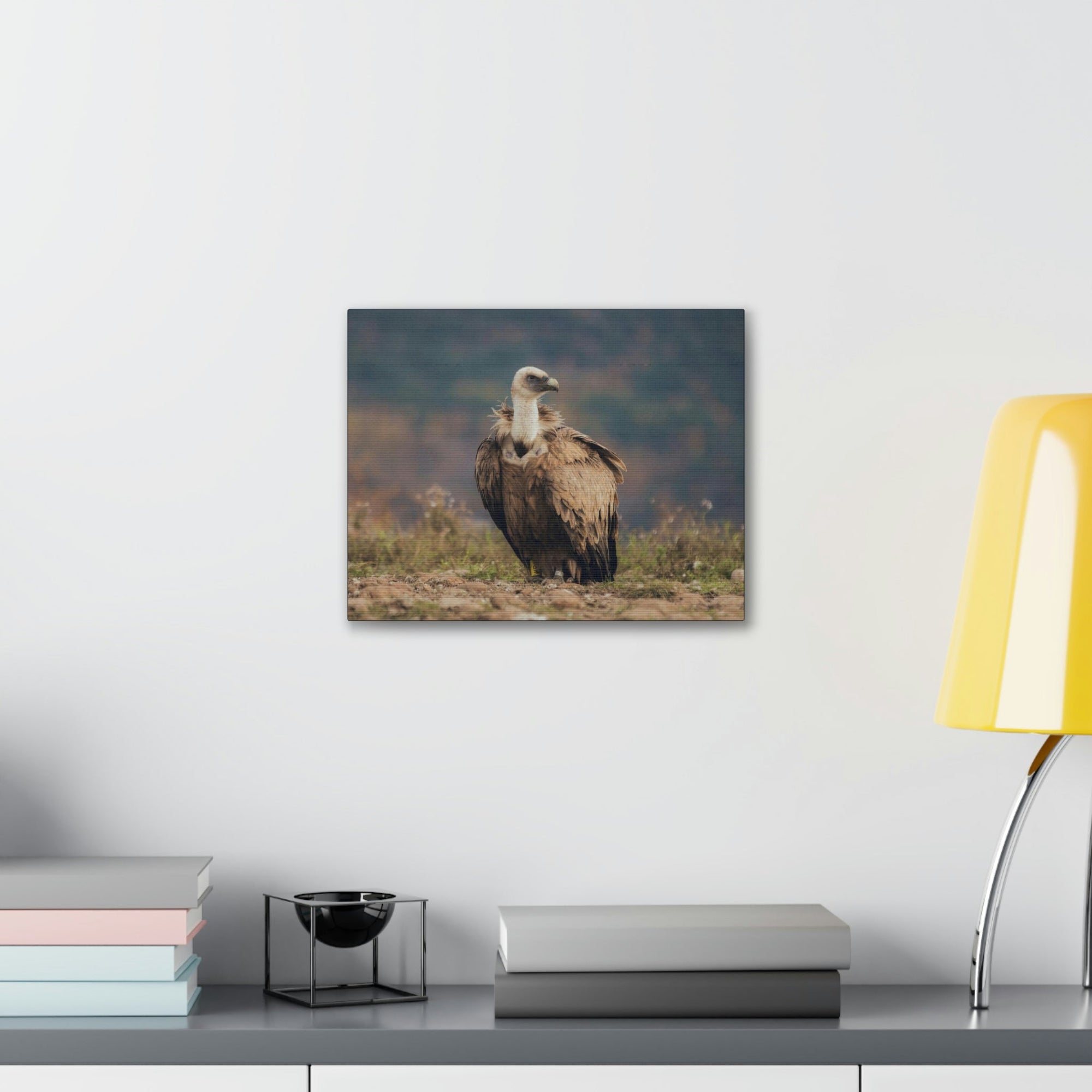 Scripture Walls Majestic Vulture Art Majestic Vulture Print Animal Wall Art Wildlife Canvas Prints Wall Art Ready to Hang Unframed-Express Your Love Gifts