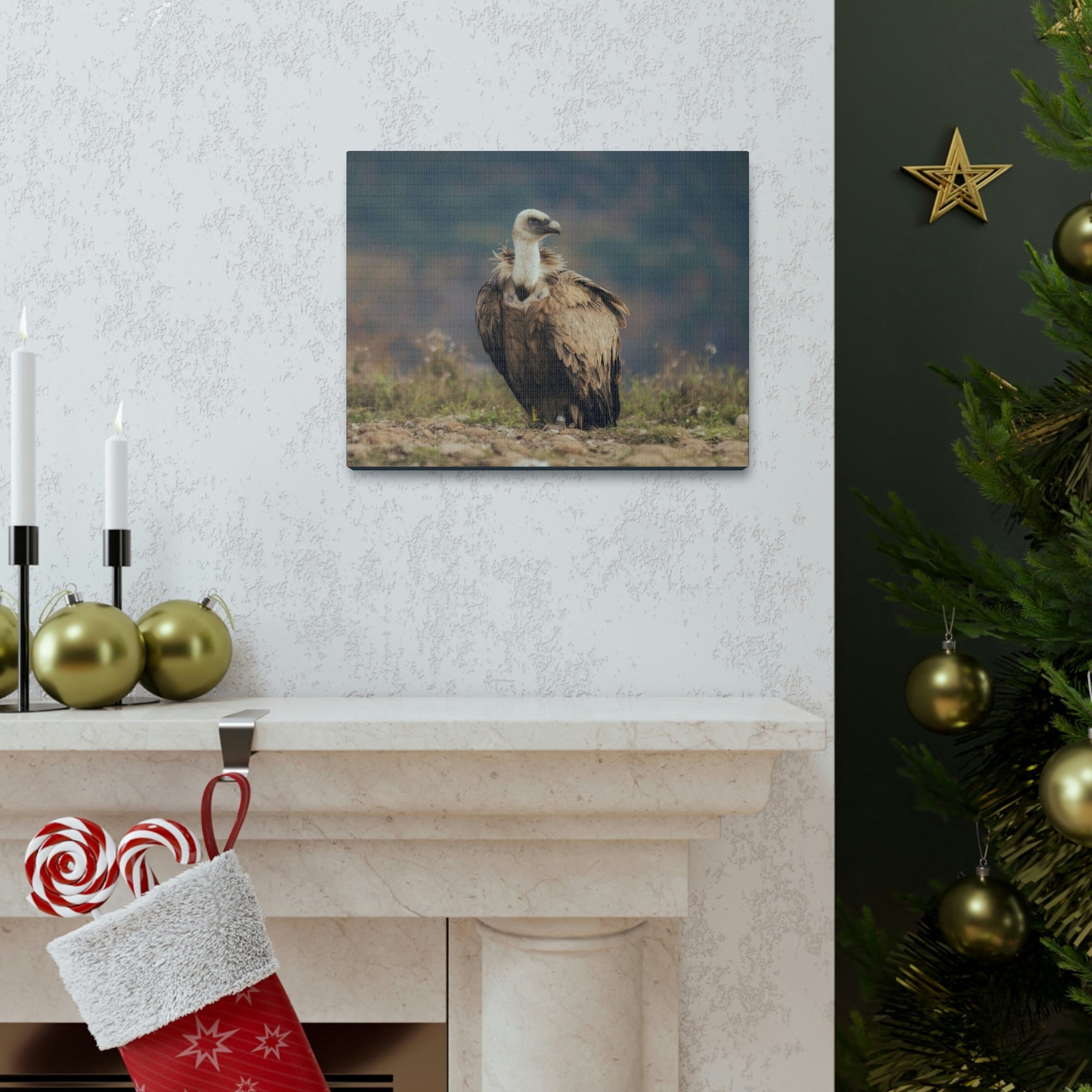 Scripture Walls Majestic Vulture Art Majestic Vulture Print Animal Wall Art Wildlife Canvas Prints Wall Art Ready to Hang Unframed-Express Your Love Gifts